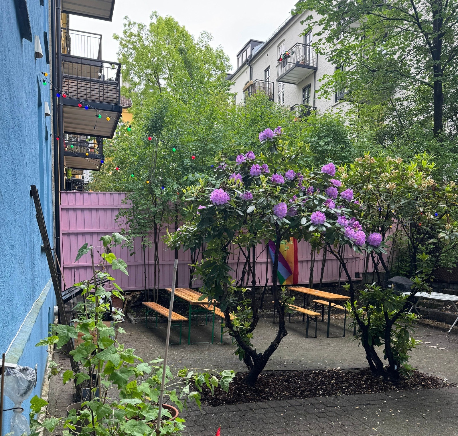 Indre gårdsrom, med felles utemøbler/sittegrupper, drivhus og grill Galleribilde