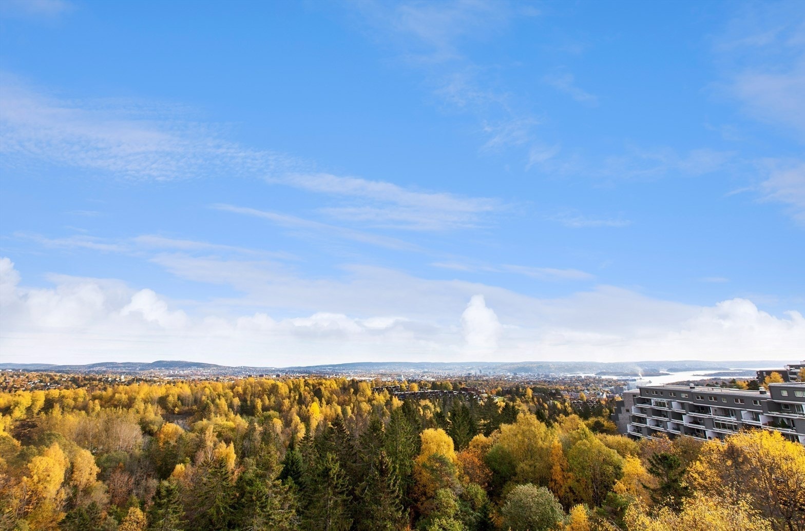 Utsikt fra felles takterrasse Galleribilde