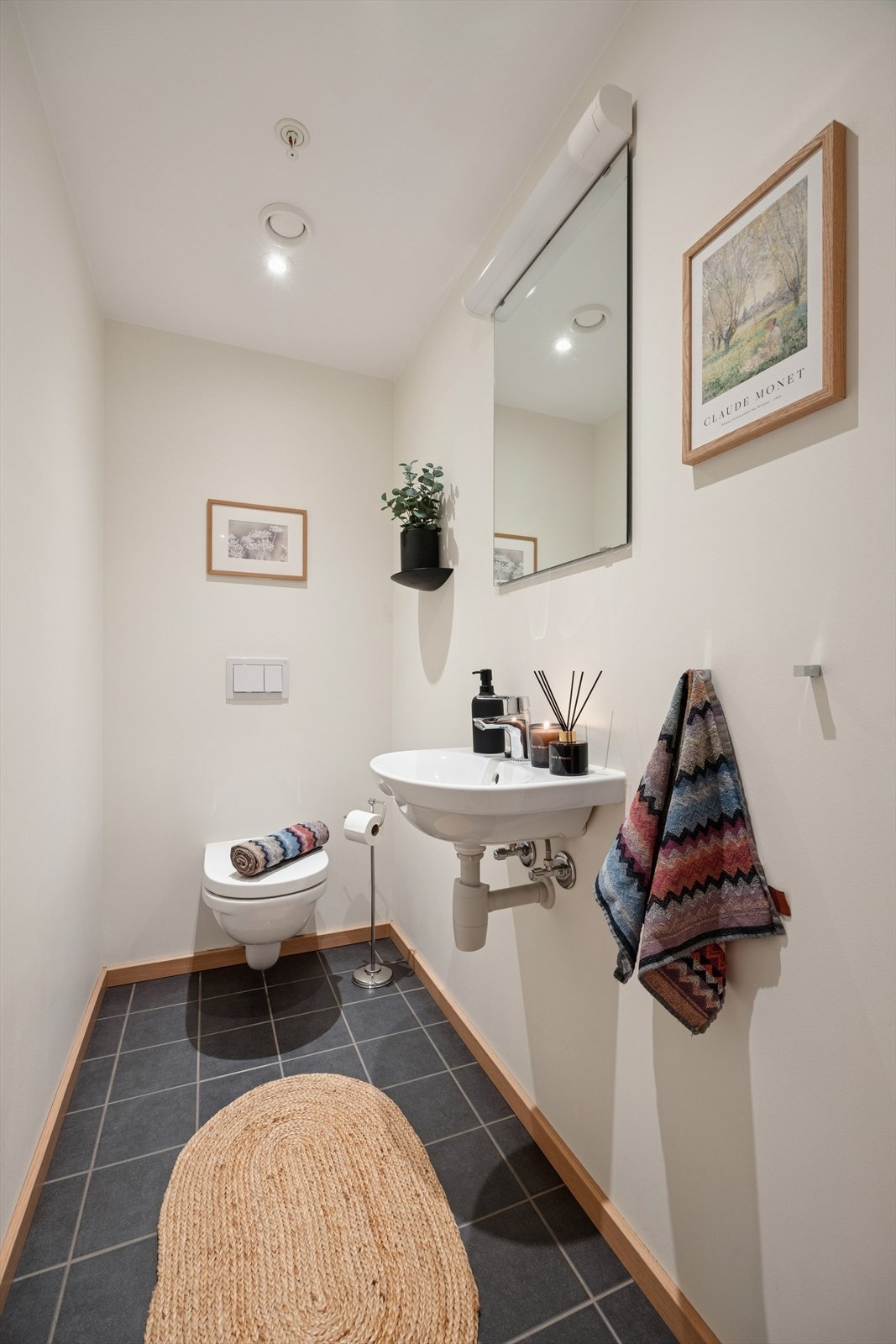 Separat toalett Galleribilde