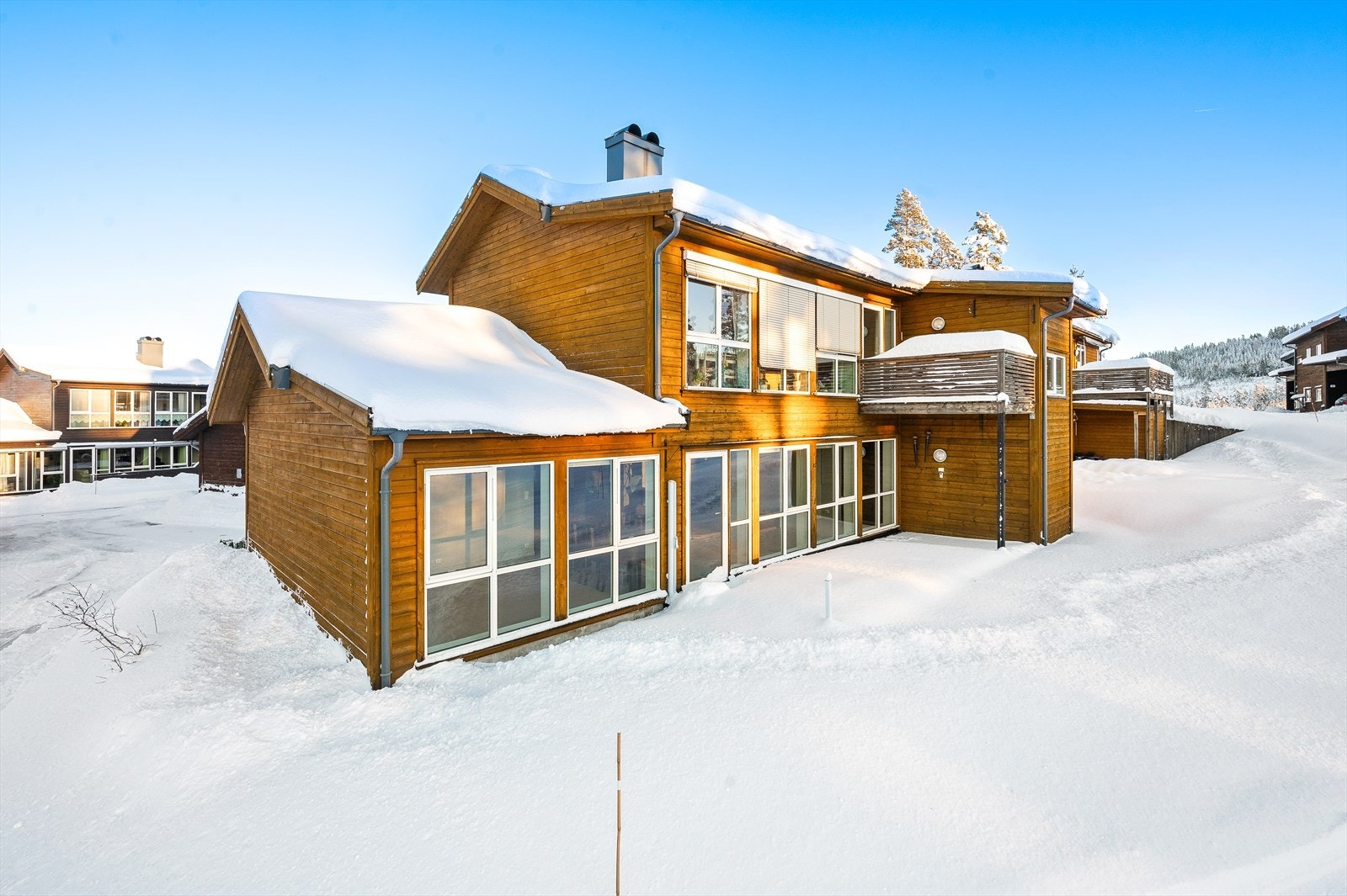 Velkommen til Hovet 20! Galleribilde