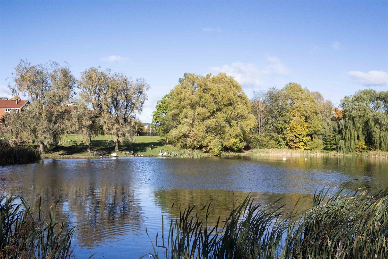 Nærområdet byr på flere parker og grøntområder for rekreasjon. Galleribilde
