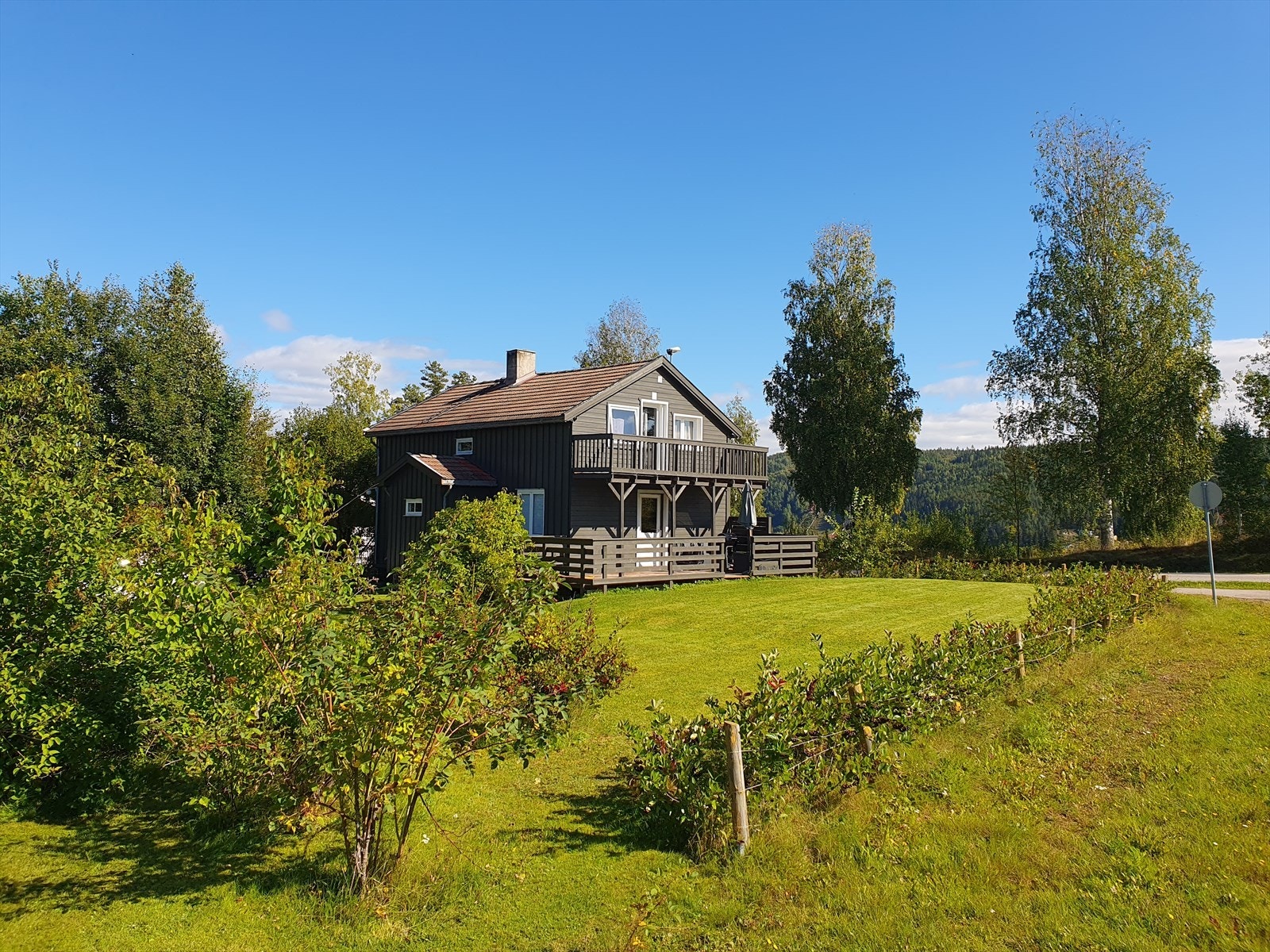 Sommerbilde Galleribilde