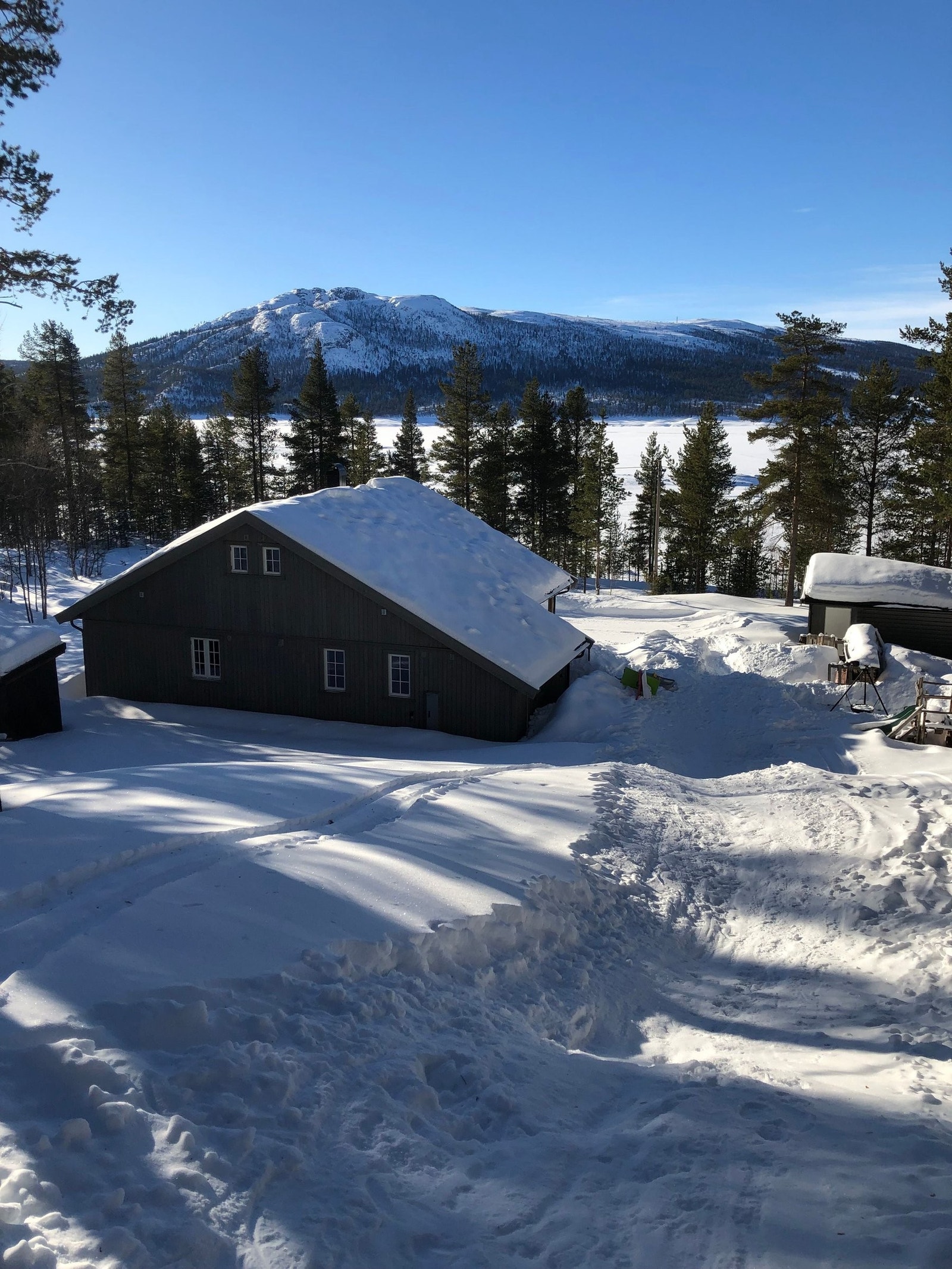 Fin akebakke rett utenfor hyttedøra – perfekt for de minste Galleribilde