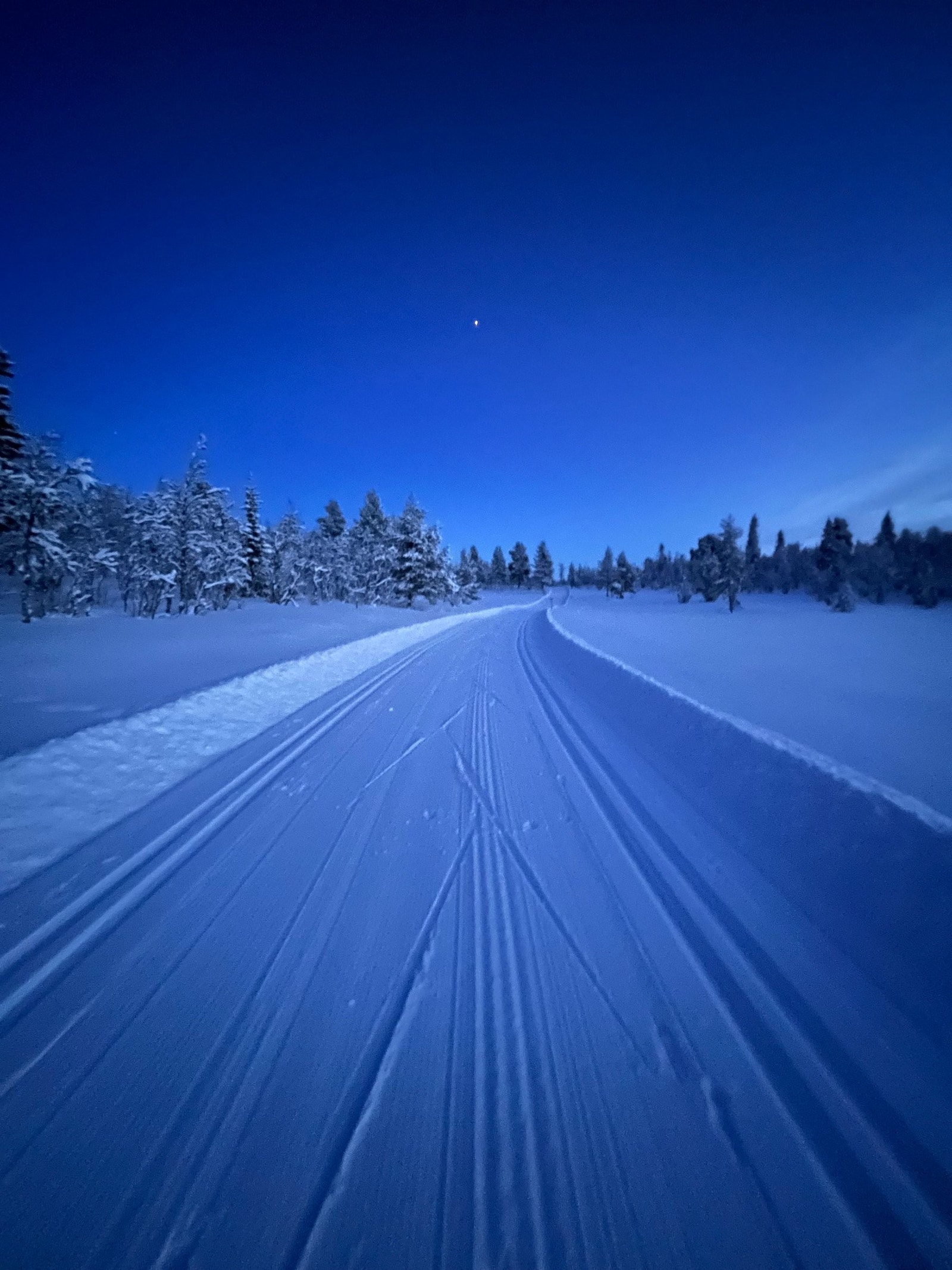 Stort løypenett i nærheten inkludert 2,5km lysløype på Tunhovd Galleribilde