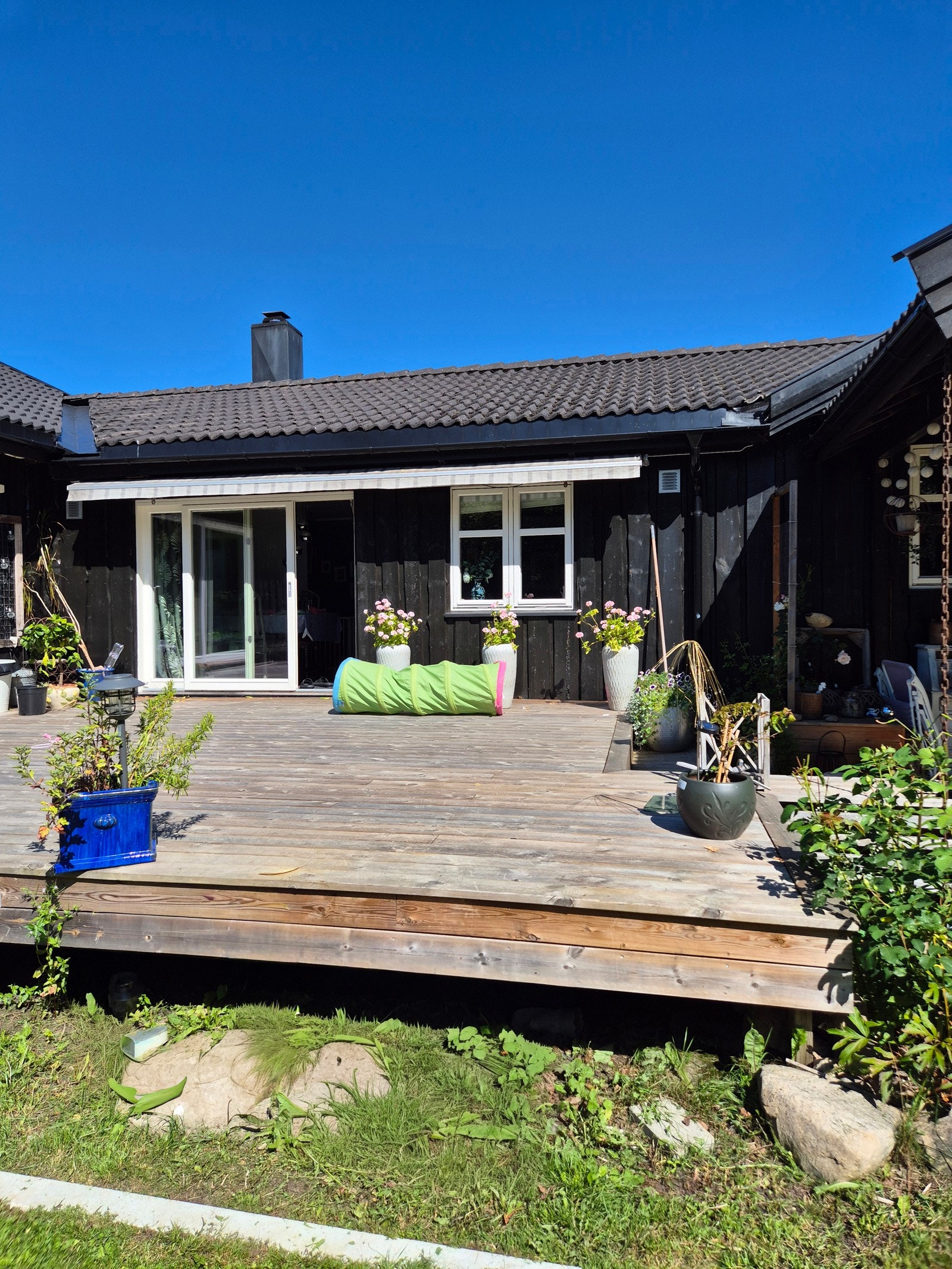 Selgers private sommerbilder Galleribilde