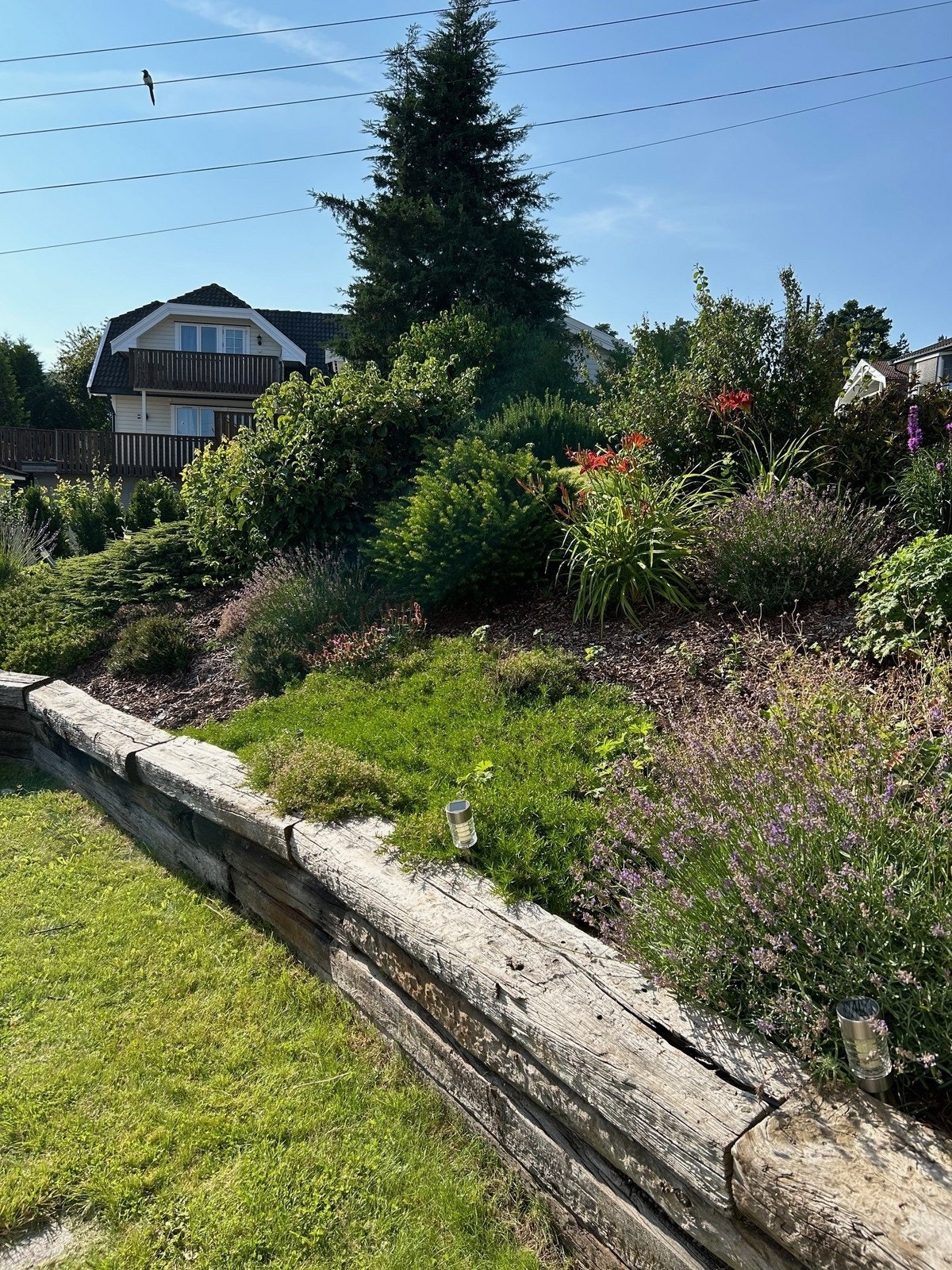 Pent opparbeidet hage Galleribilde