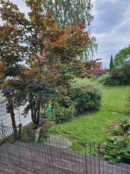 Hagen byr på grønne arealer og beplantning. Galleribilde