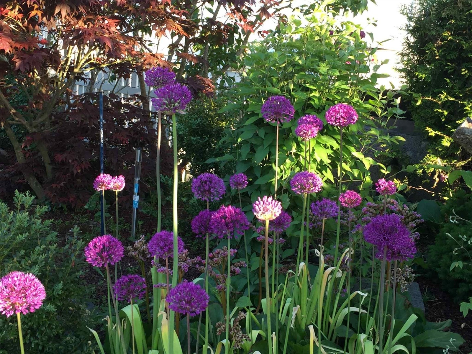 selger-privatfoto Galleribilde