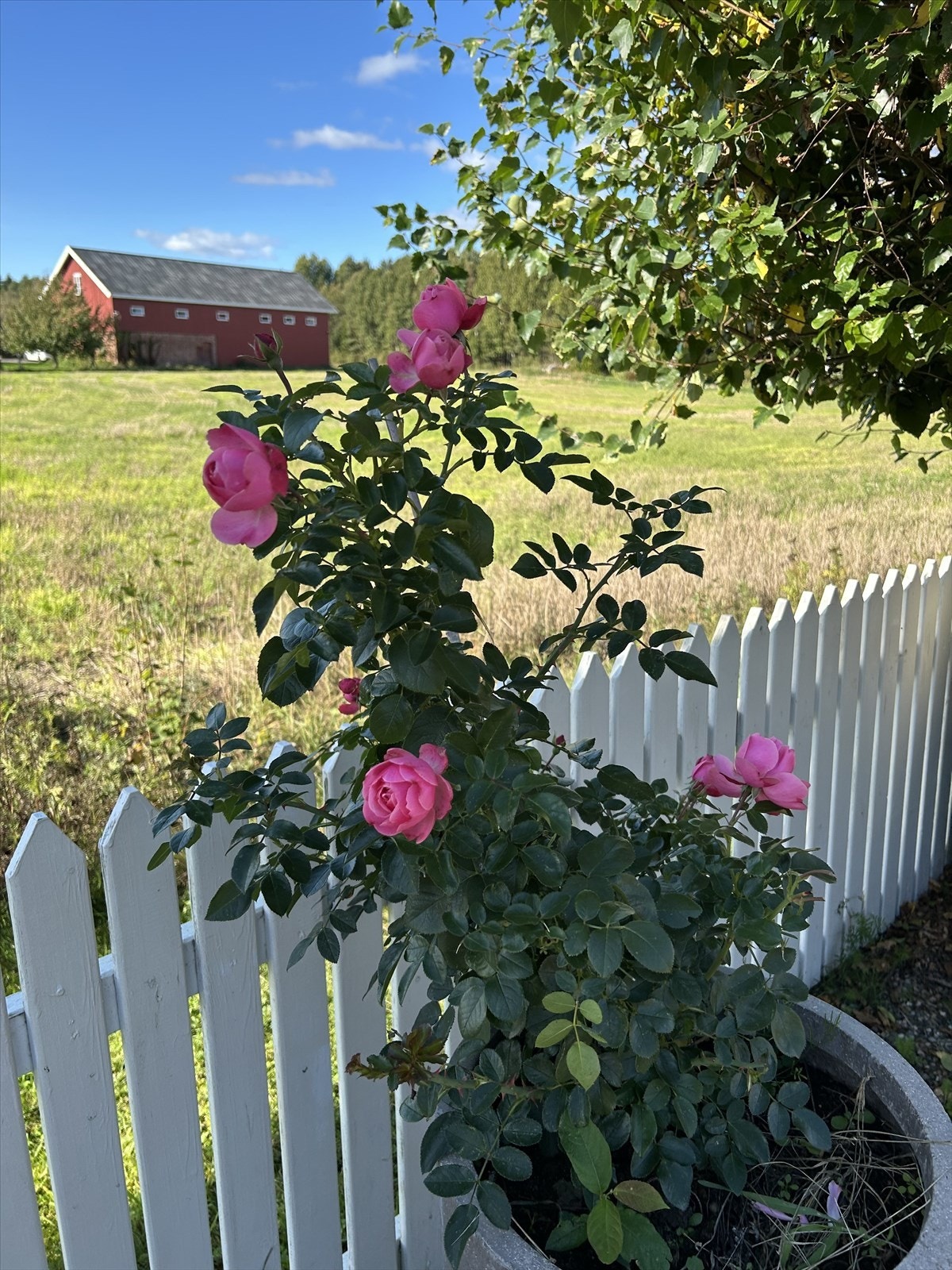 selger-privatfoto Galleribilde