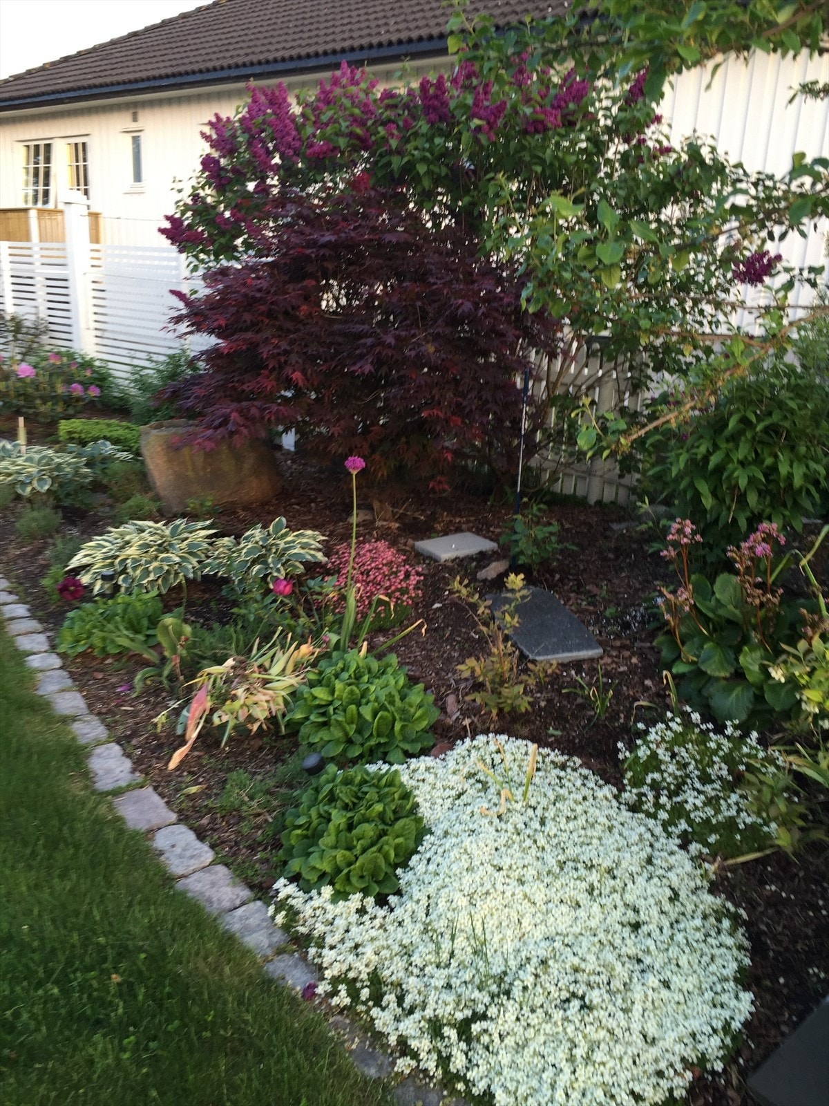 selger-privatfoto Galleribilde