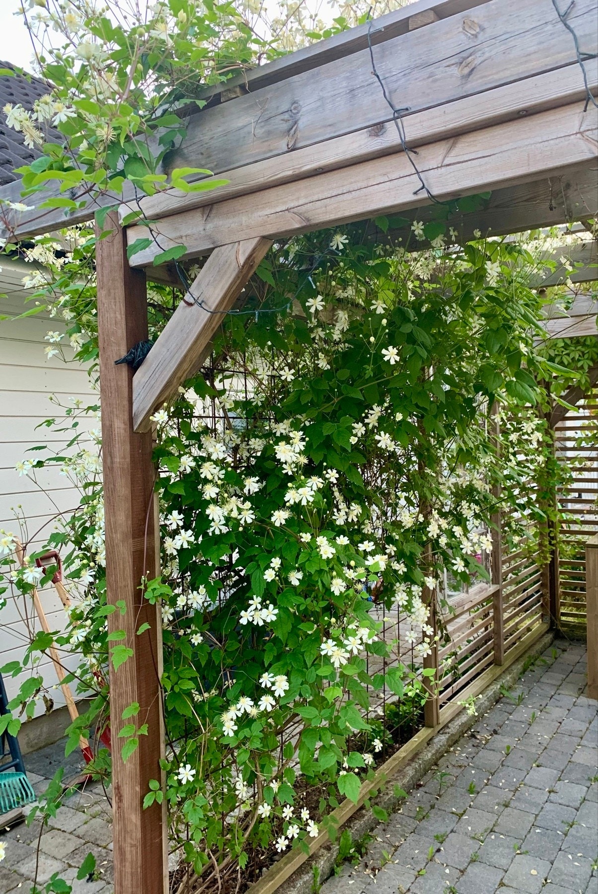 Om sommeren blomstrer det rundt pergolaen. Galleribilde