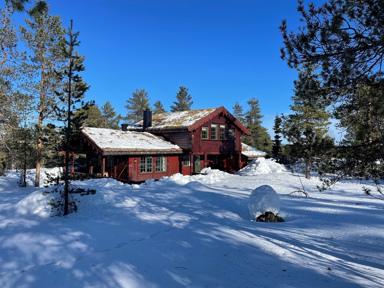 Vinter (privat foto) Galleribilde