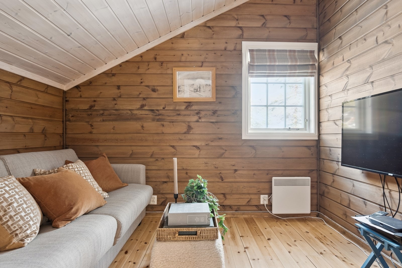 TV-stue innredet med sovesofa Galleribilde