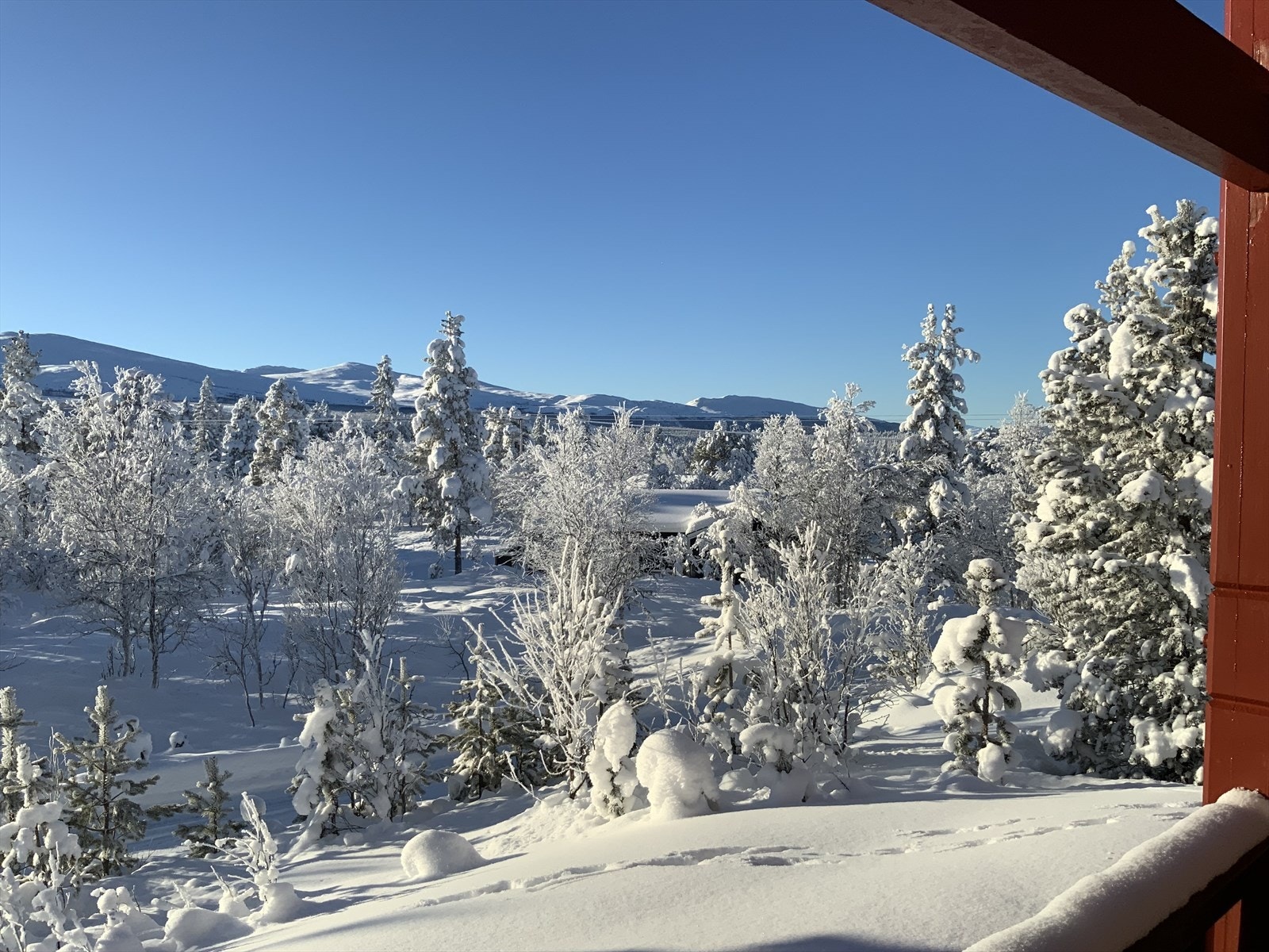 Utsikt fra verandaen Galleribilde