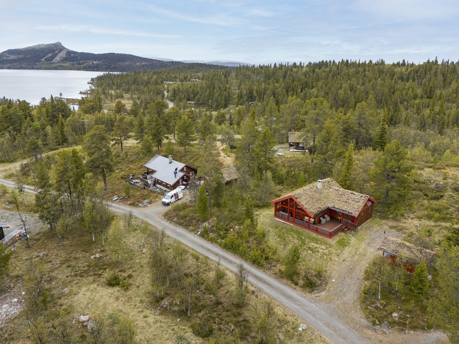 Velkommen til visning! Galleribilde