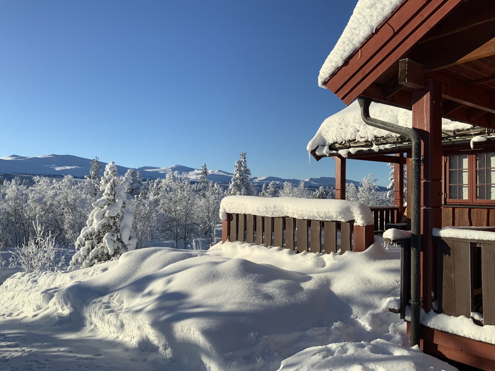Flott utsikt fra hytta ! Galleribilde