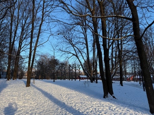 Hallénparken som ligger via-a-vis bygården og leiligheten, vinterstid Foto: Megler Galleribilde