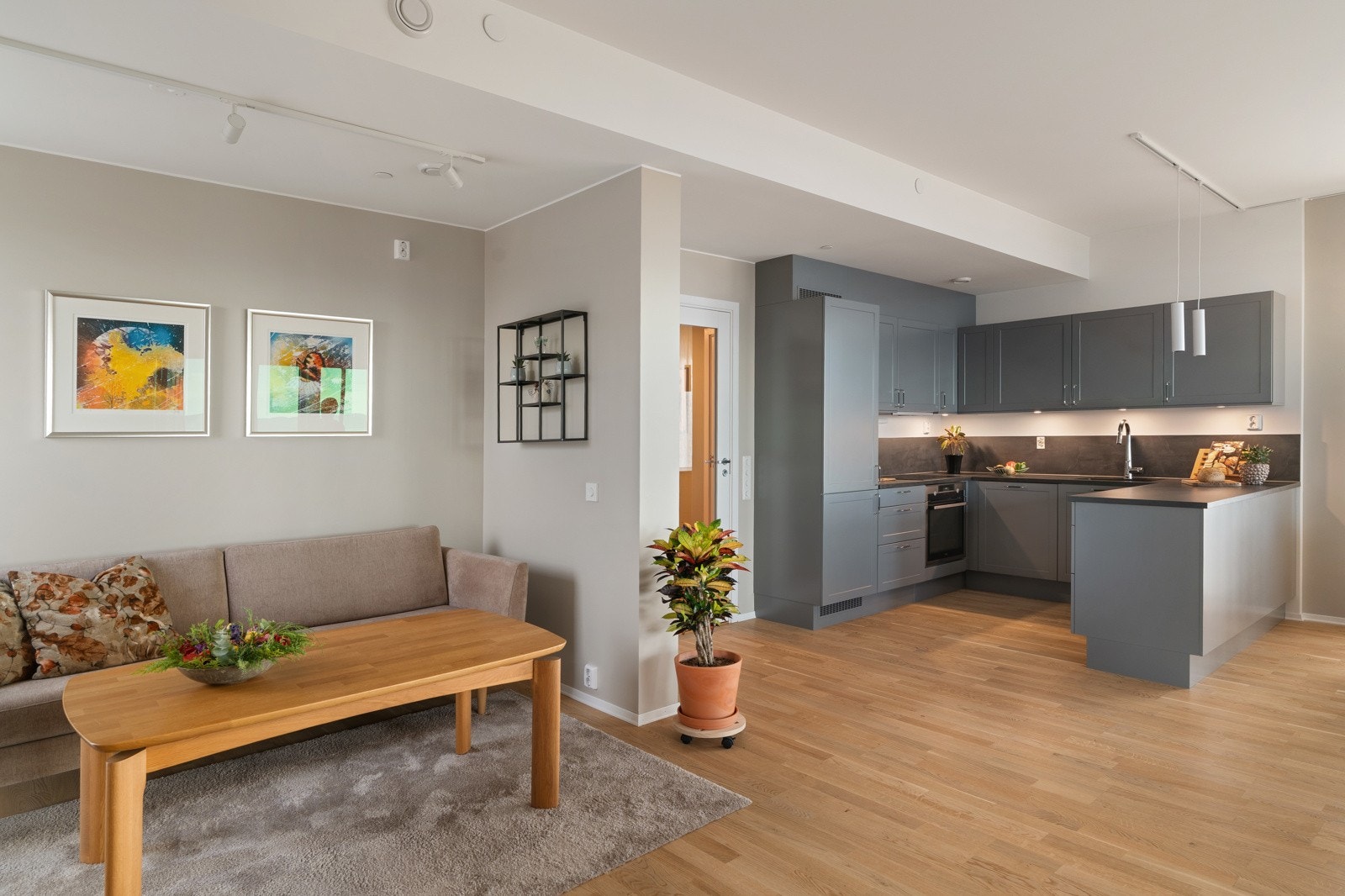 Videre inn kommer man til boligens store sosiale sone. Galleribilde