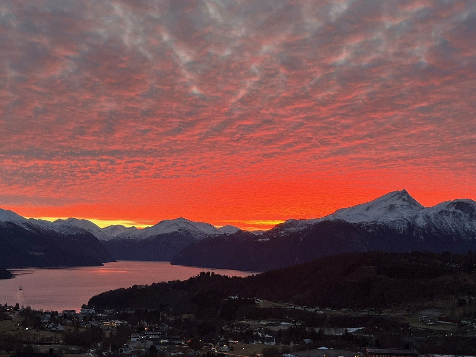 Selgers bilder Galleribilde