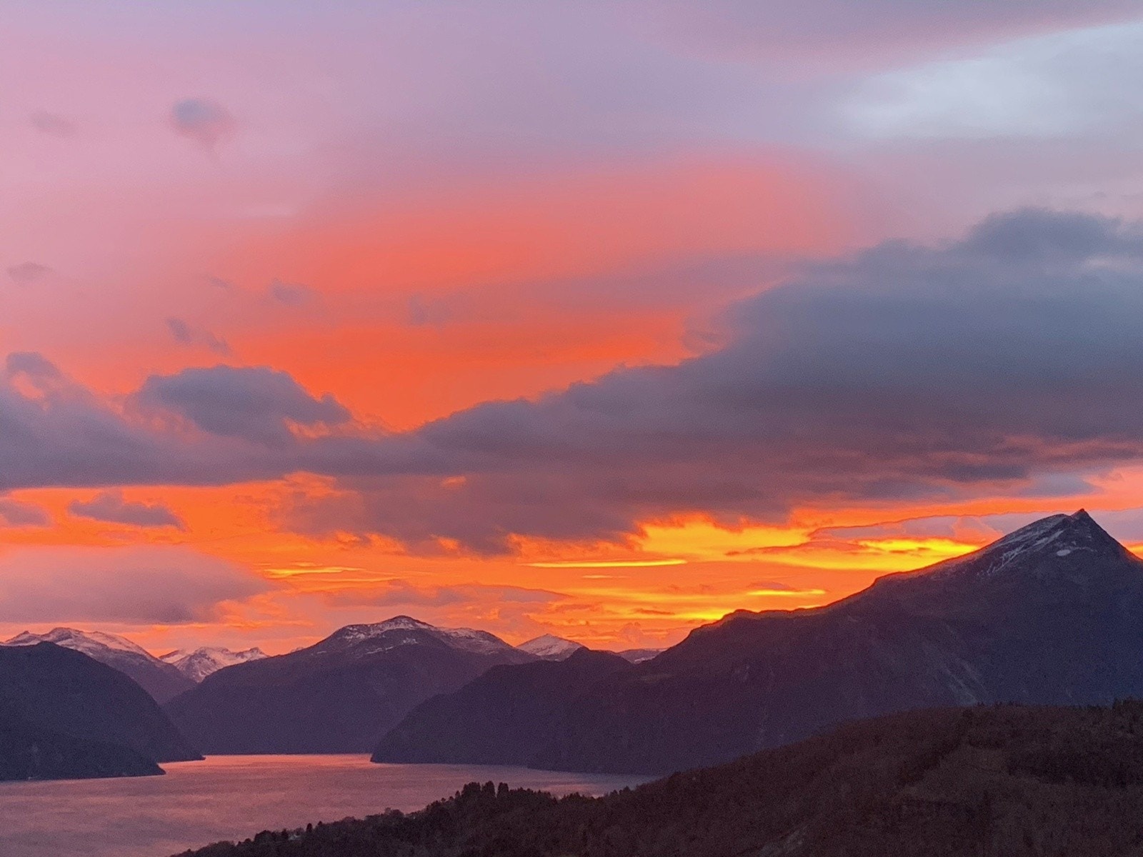 Selgers bilder Galleribilde