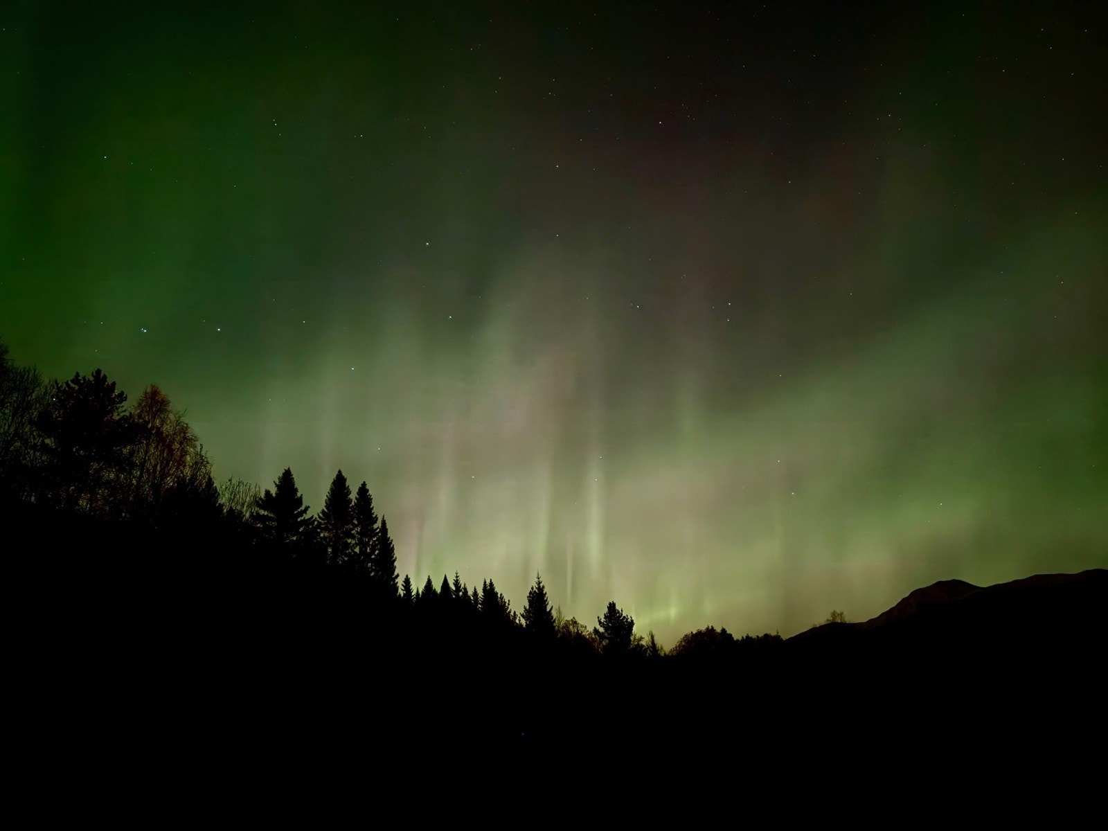 Selgers bilder Galleribilde