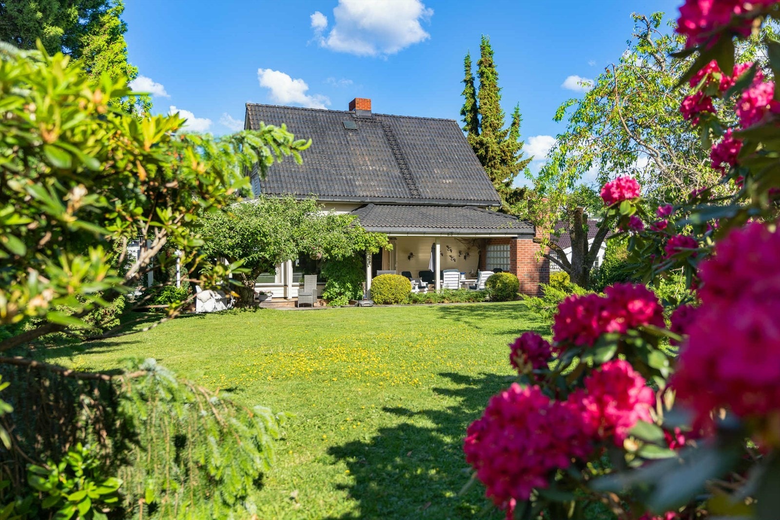 Store planter, plen og fargerike blomster gjør hagen innbydende for både barn og voksne. Galleribilde