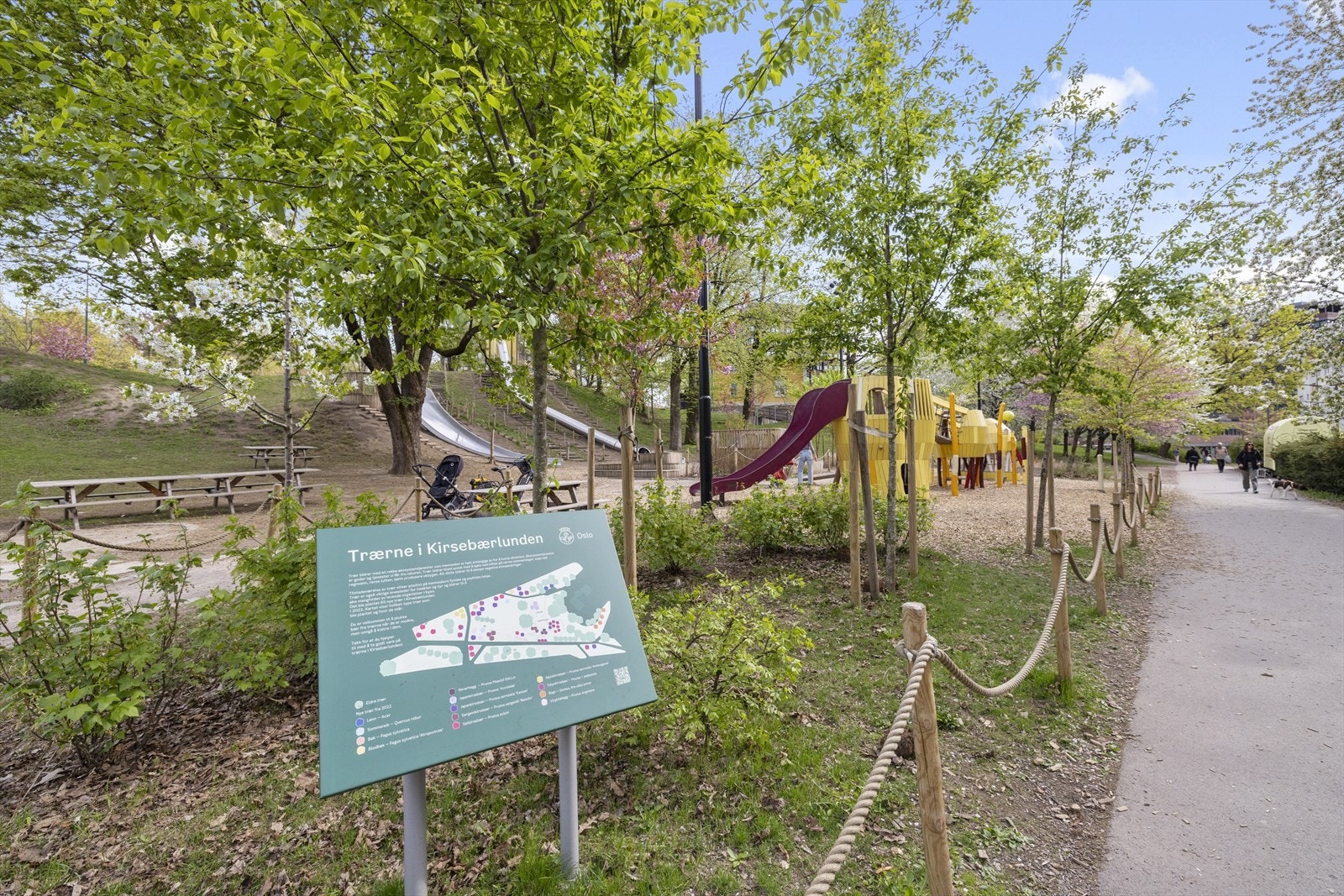 Sentralt på Tøyen finner man Kirsebærlunden. En veletablert lekeplass i hyggelige omgivelser. Galleribilde