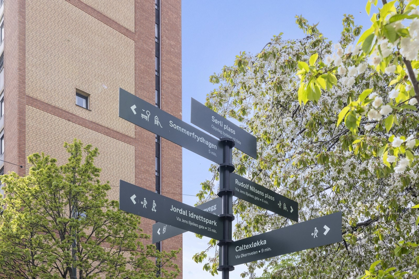 Sørli Plass mellom Tøyen og Enerhaugen. Galleribilde