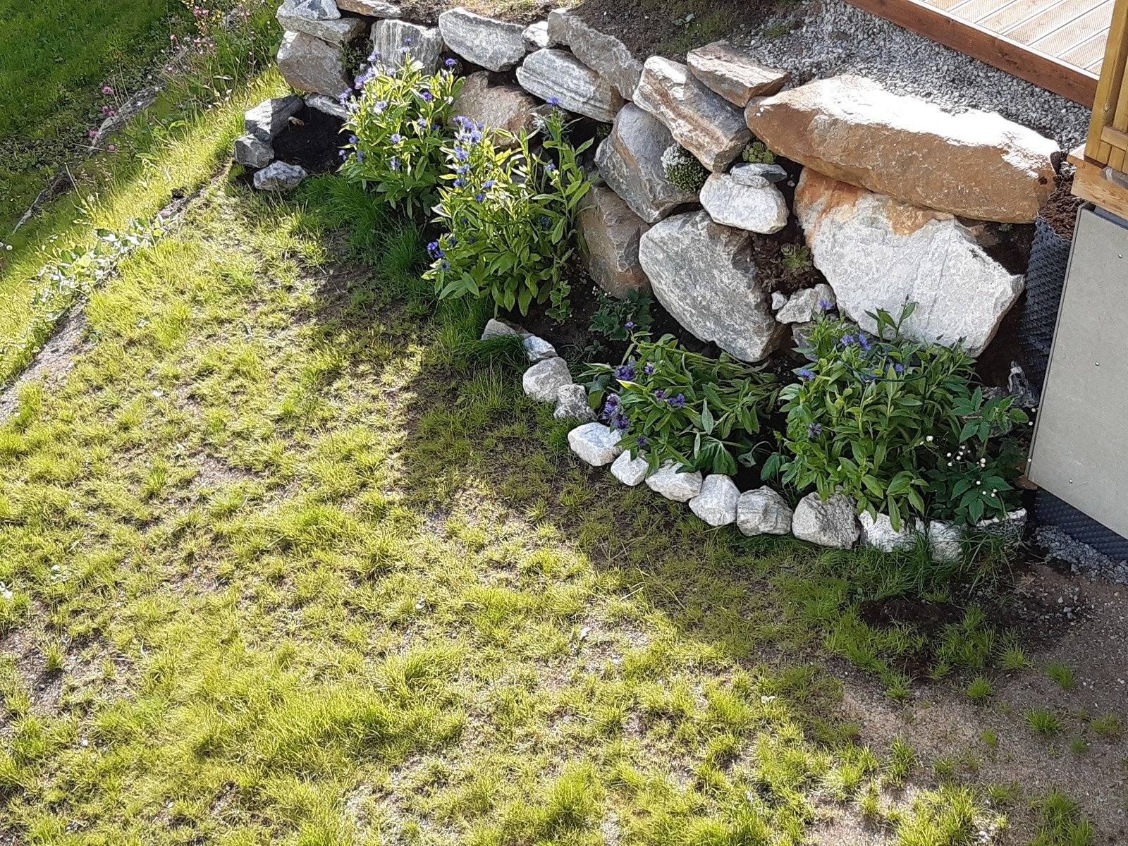 Selgers private bilde fra hagen.