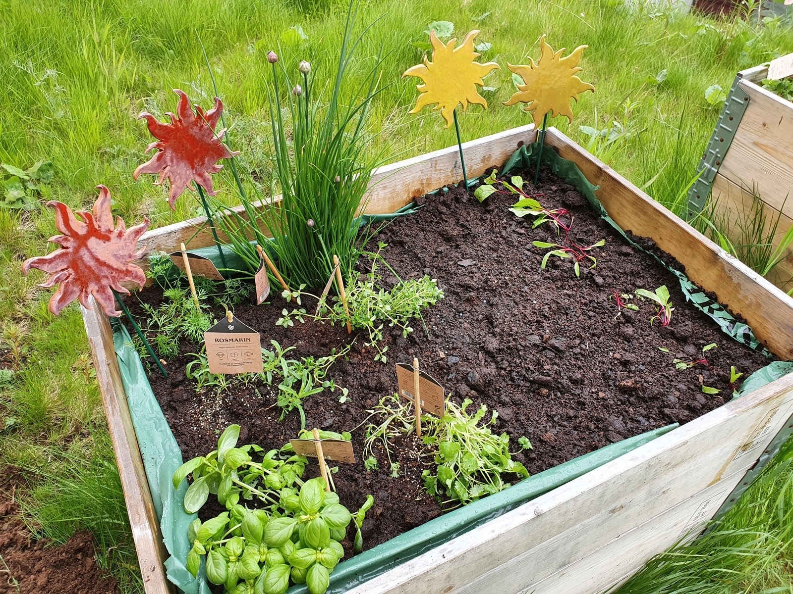 Selgers private bilde fra hagen.