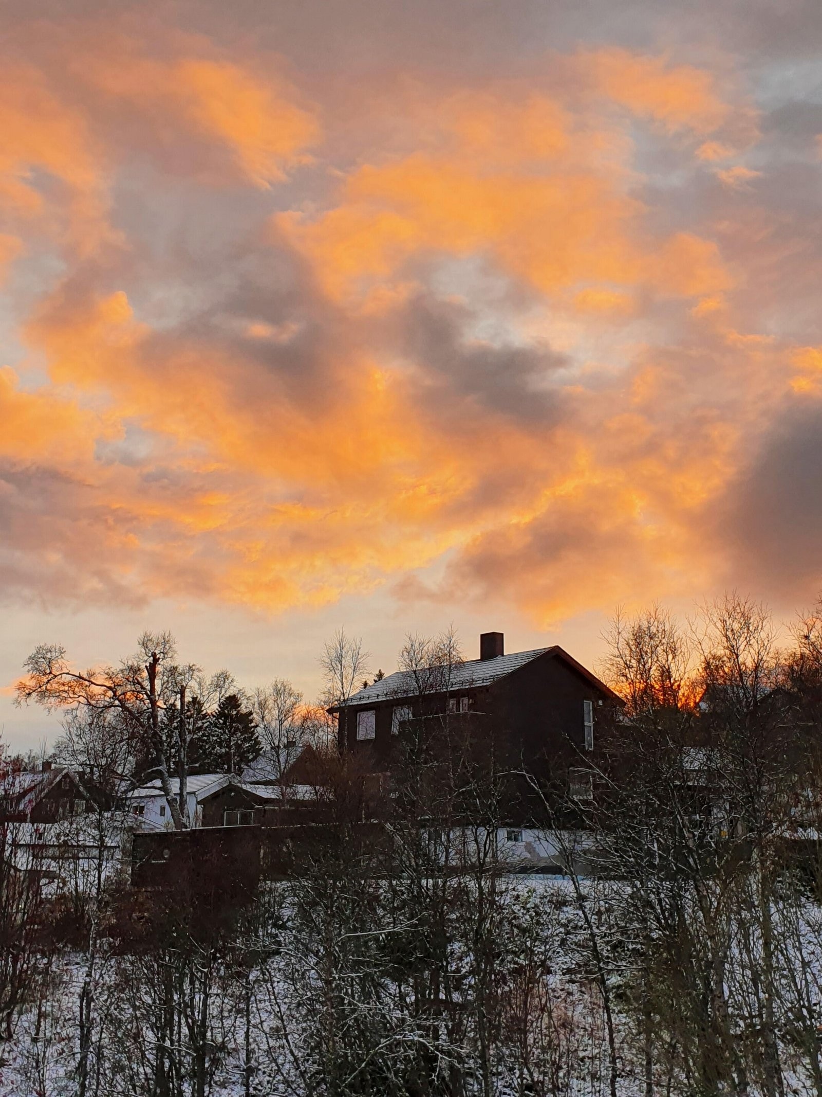 Selgers private bilde.