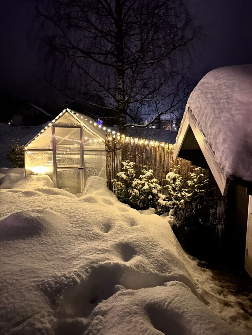 Selgers private bilde. Galleribilde