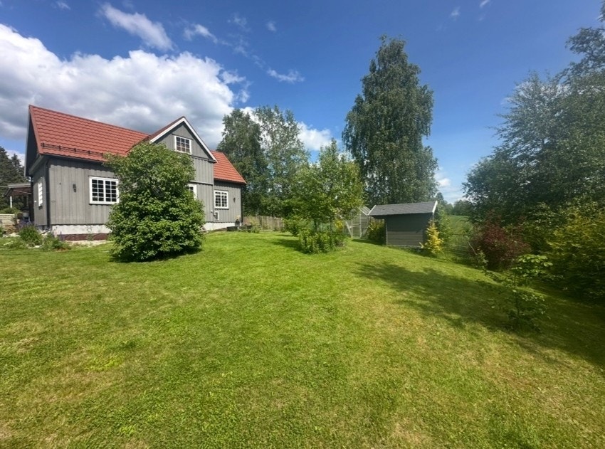 Selgers private bilde. Galleribilde