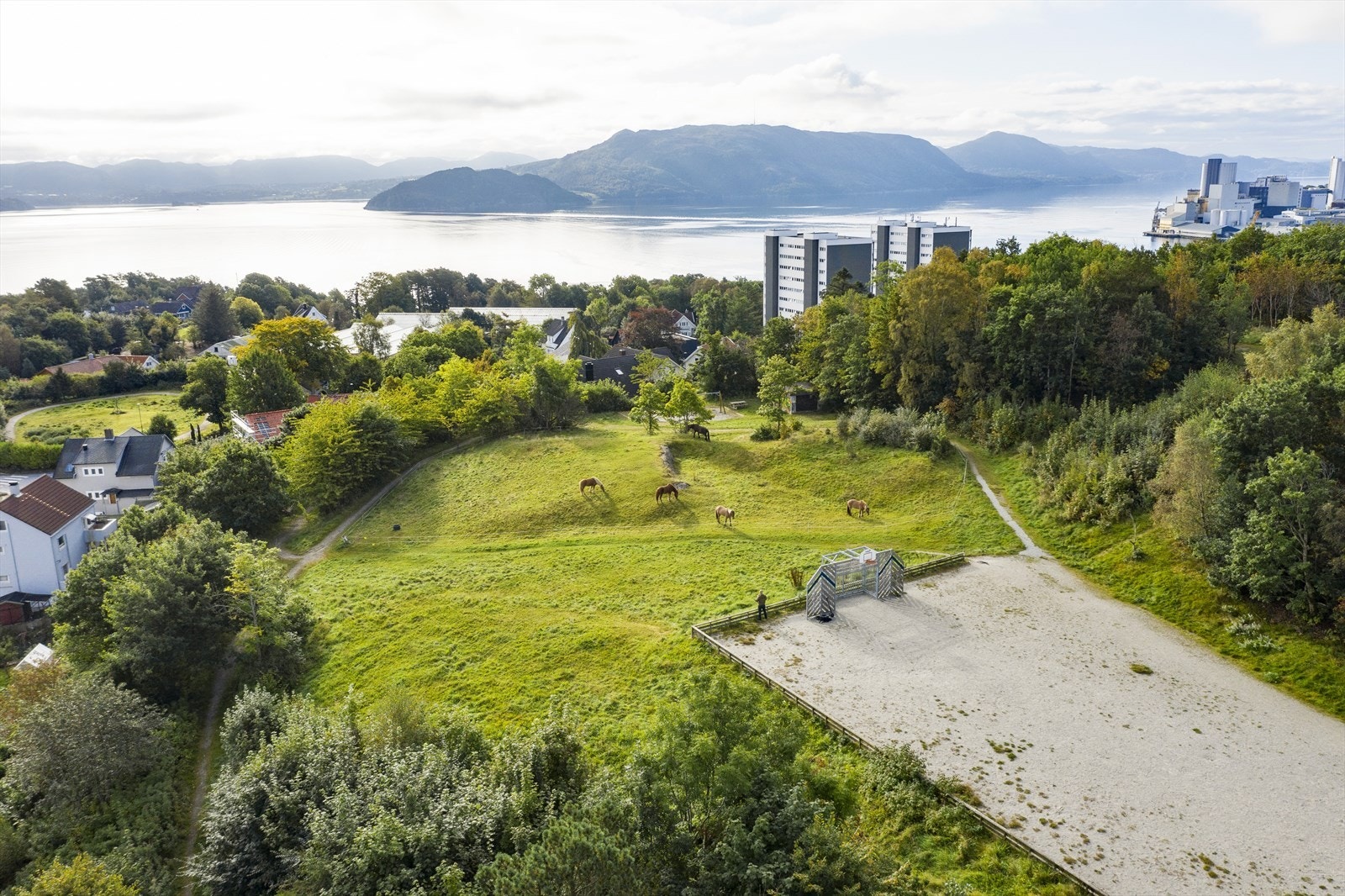 I nærområdet finner man flotte grøntområder, som her på Varden som ligger rett over på Storhaug Galleribilde