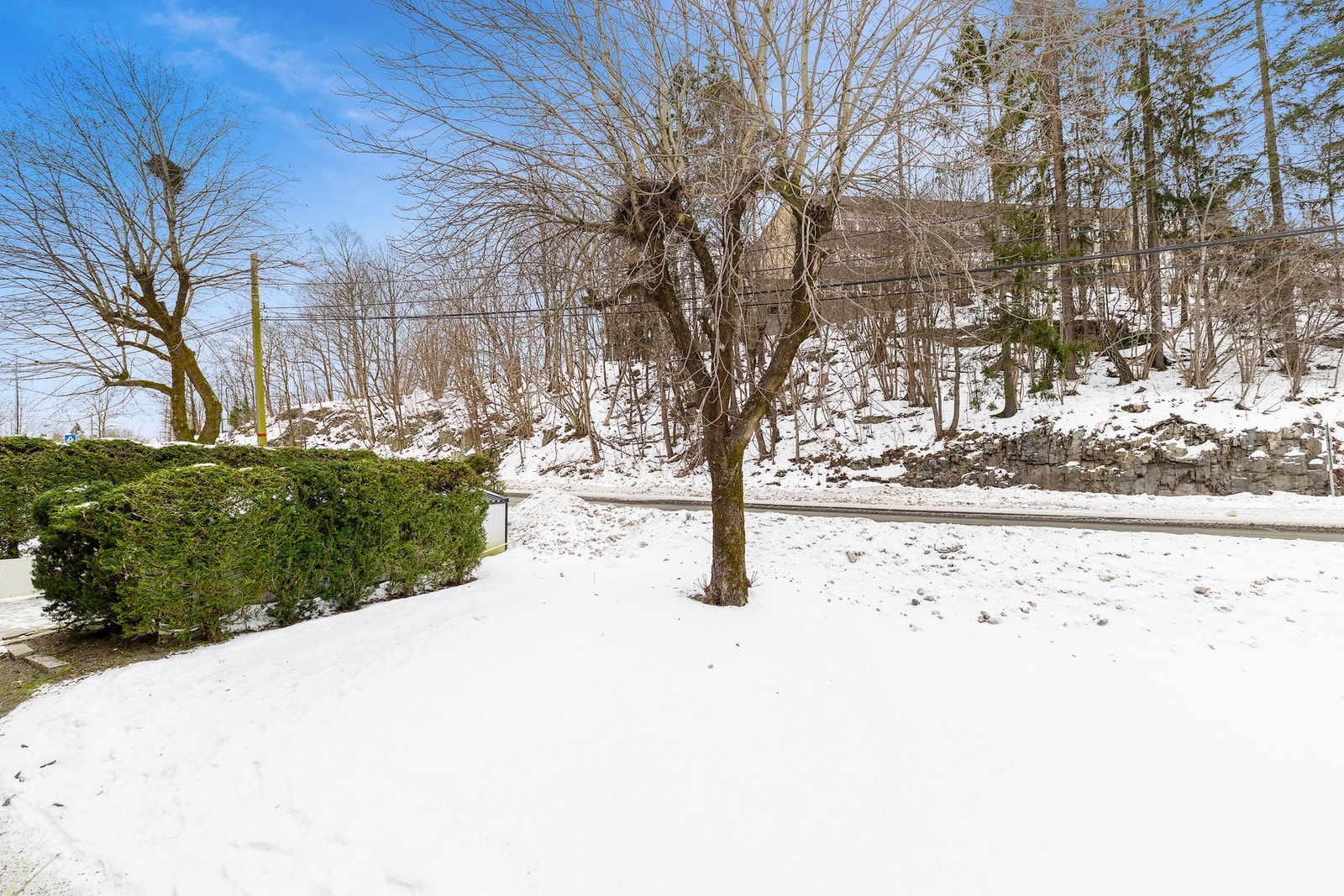 Utsikt fra balkongen. Galleribilde