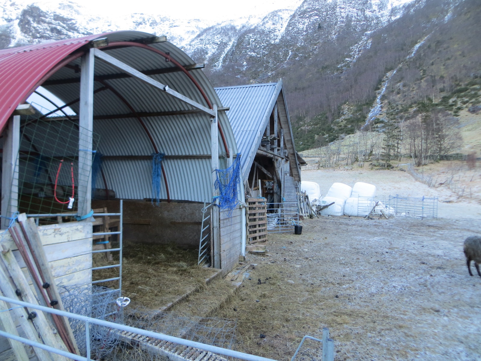 Bygning for utegående sauer Galleribilde