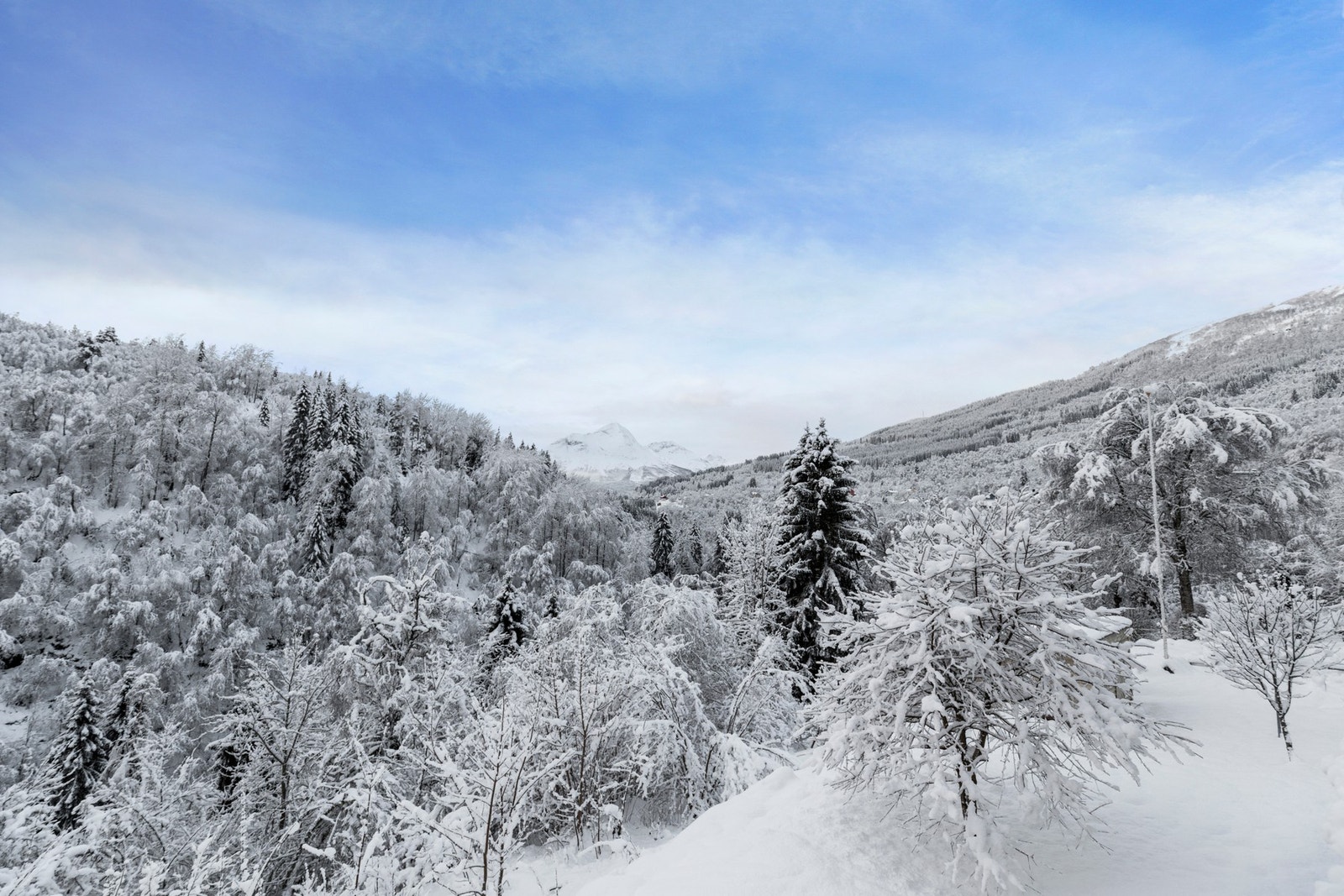 Gode solforhold med sol hele dagen Galleribilde