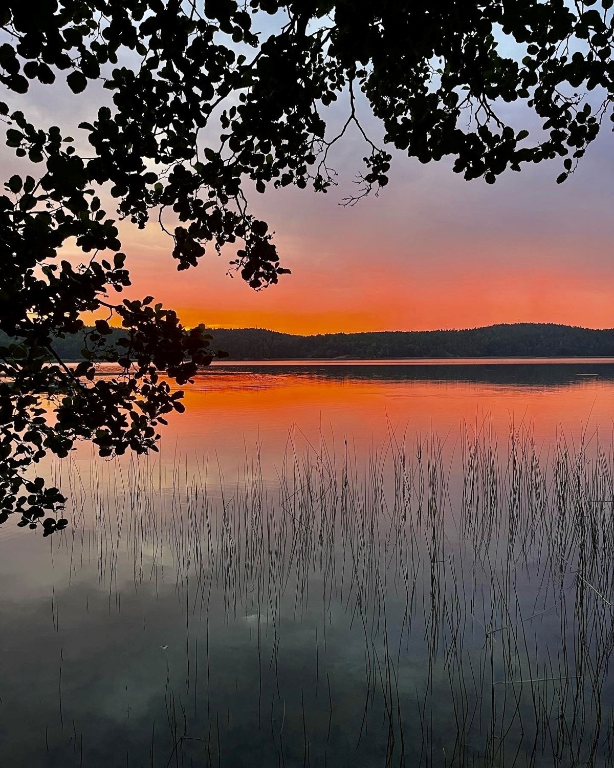 Bilde fra selger. Rett på nedsiden av boligen har du "privat" badeplass Galleribilde