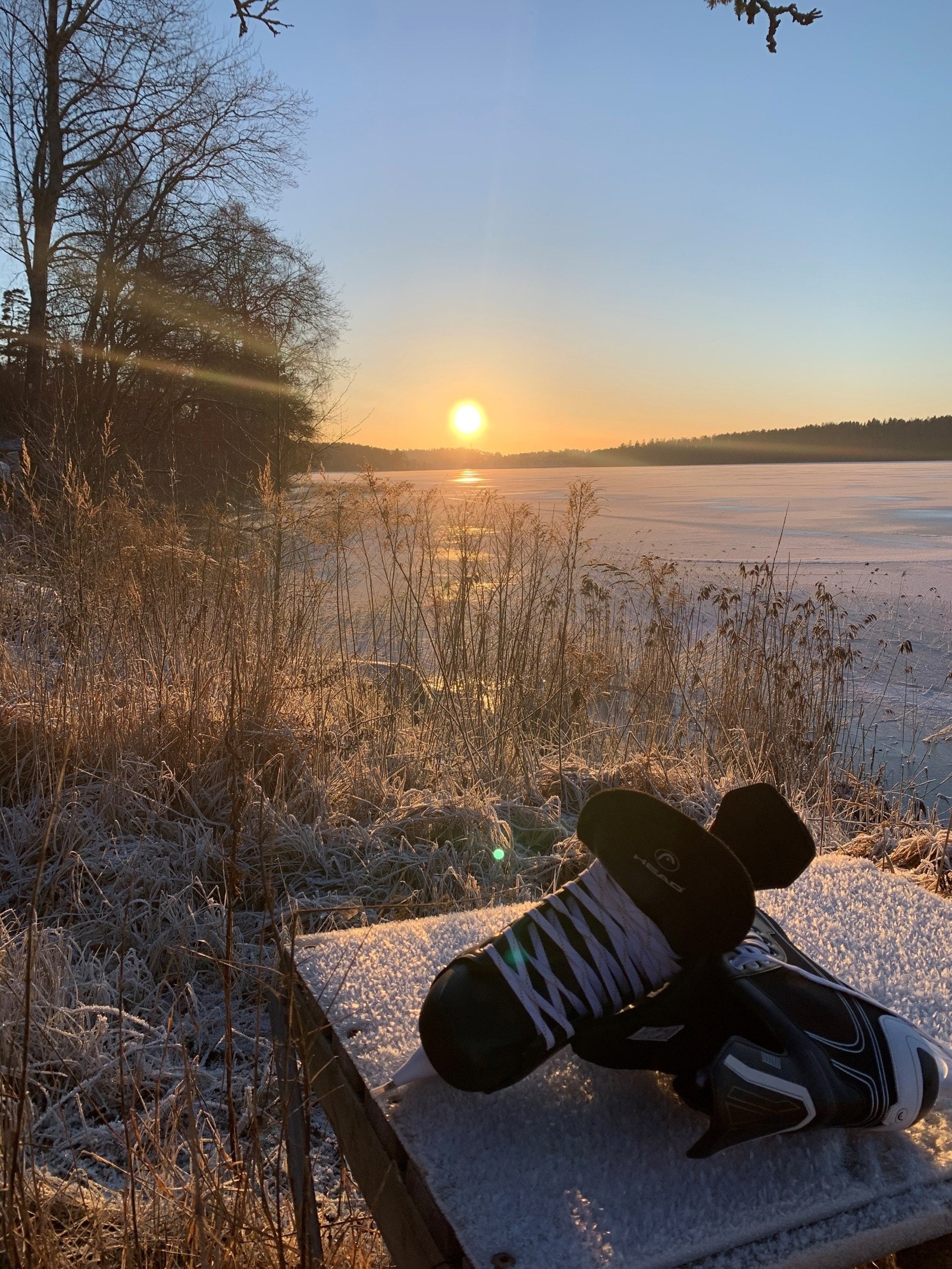Bilde fra selger. Det er sti ned til Tunevannet fra boligen Galleribilde