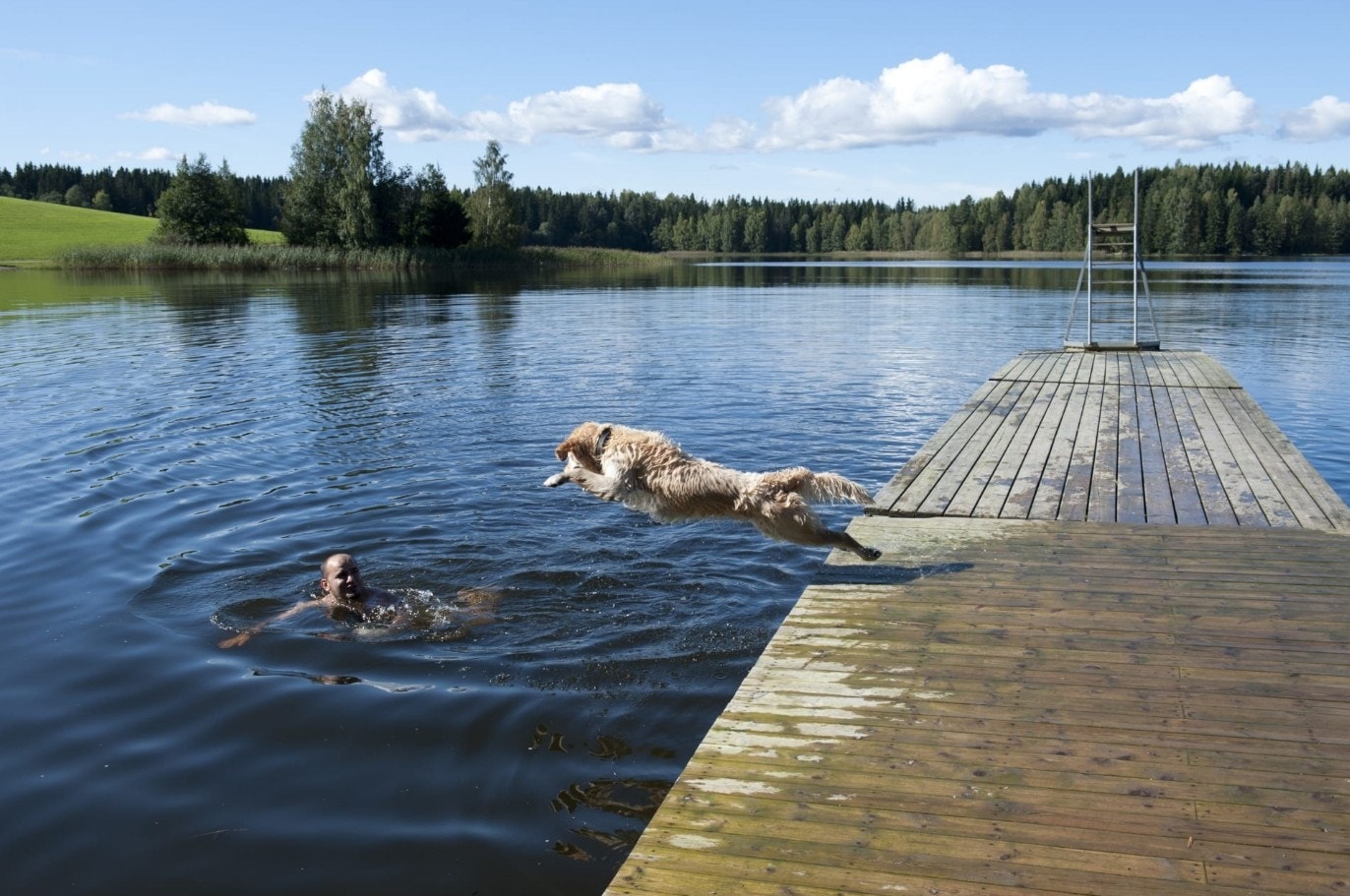 Nordbytjernet ligger ca. 10 minutters gange unna og er et fantastisk friluftsområde med hyggelig samt badestrand.jpg Galleribilde