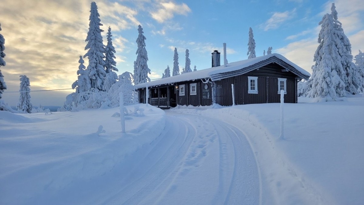 Ryskdalen er snøsikkert og foruten langrennsløyper rett utenfor er det kort vei til alpinanlegg i Trysil og Støten Galleribilde