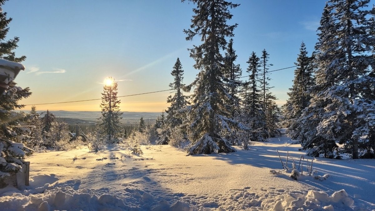 Hytta ligger ypperlig til øverst i hyttefeltet som gir en skjermet og ikke minst flott utsikt mot nærområder. Galleribilde