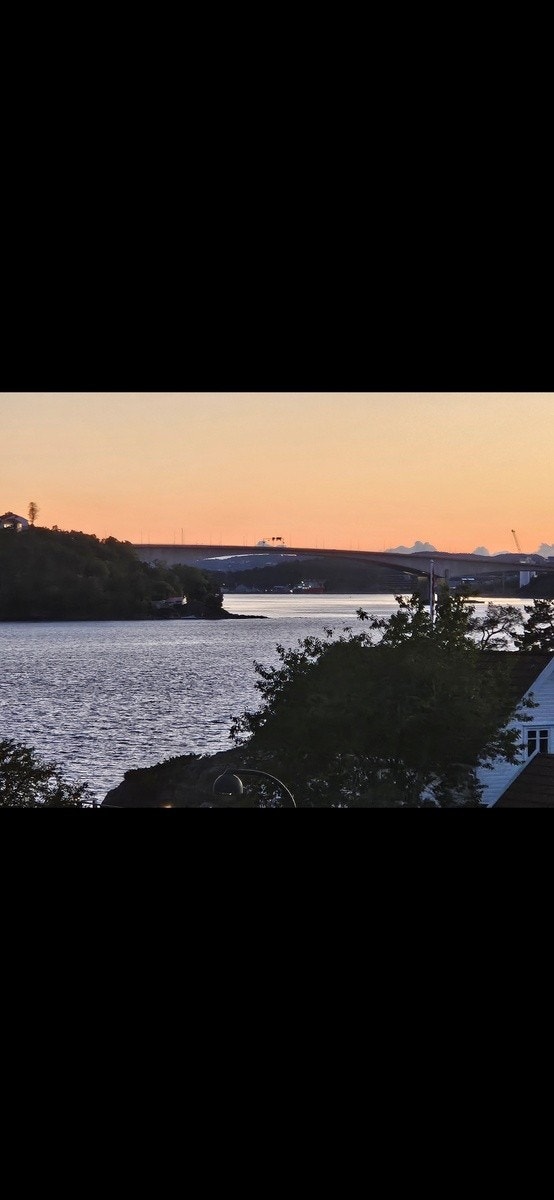 Sjøutsikt Galleribilde