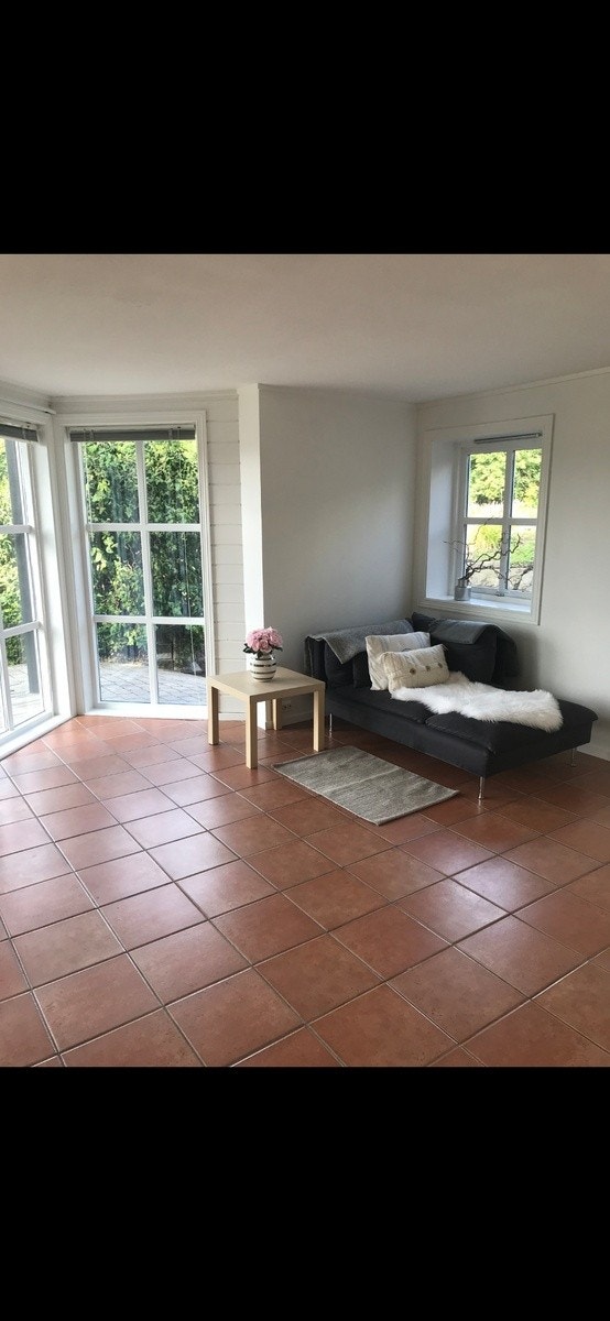 Stue. Lys og luftig med vinusflater fra gulv til tak Galleribilde