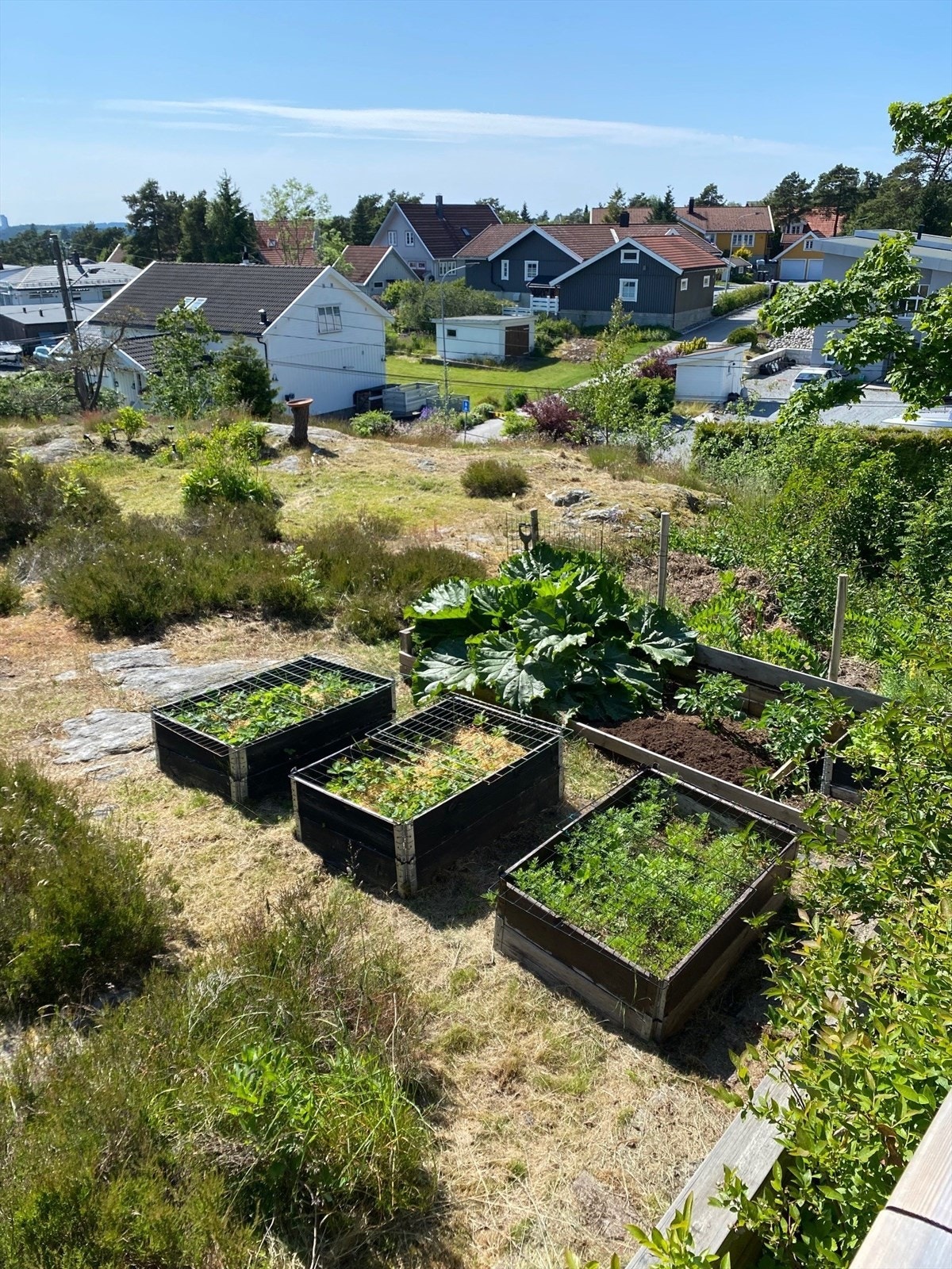 Privat bilde Galleribilde