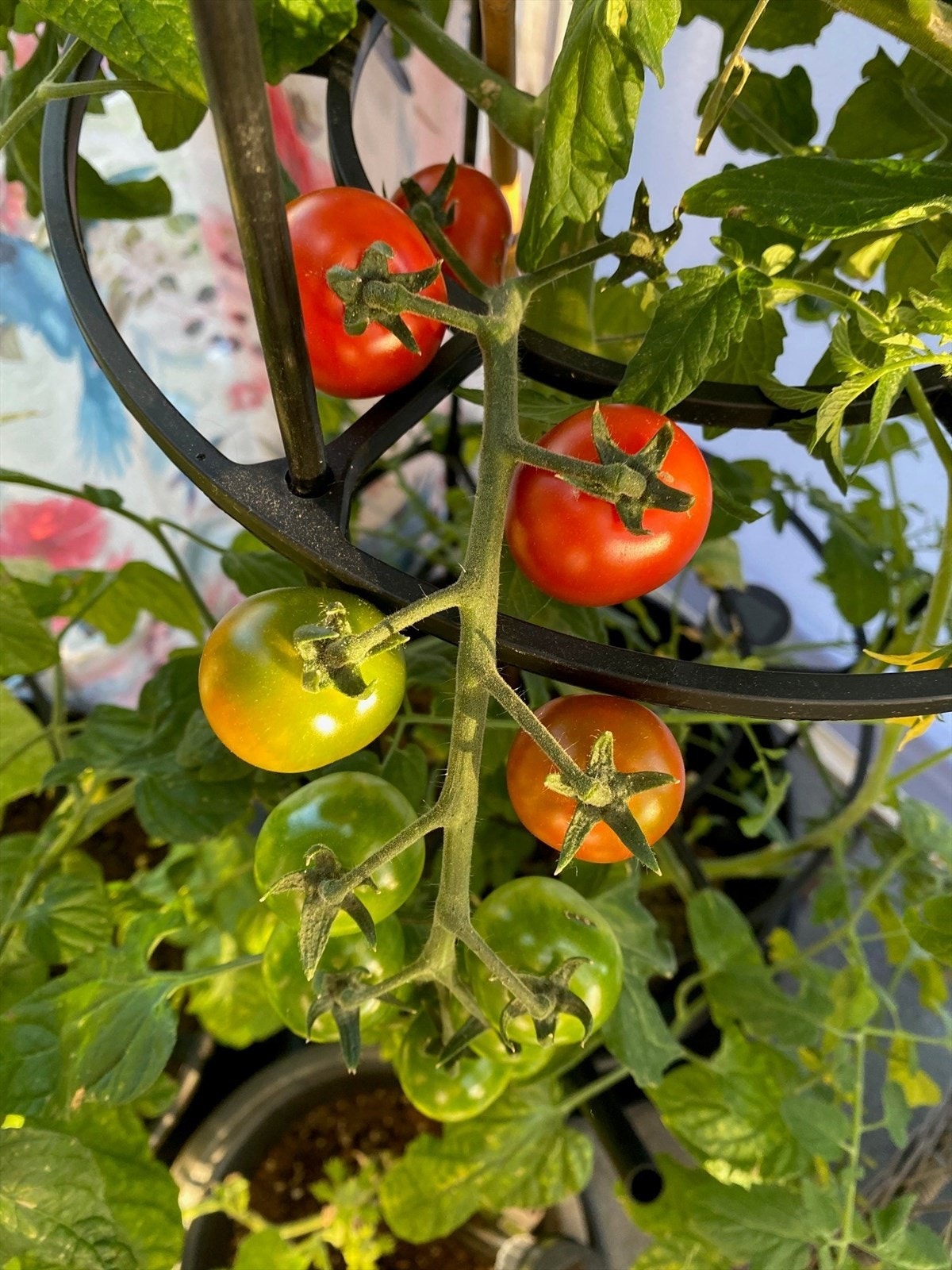 Privat bilde Galleribilde