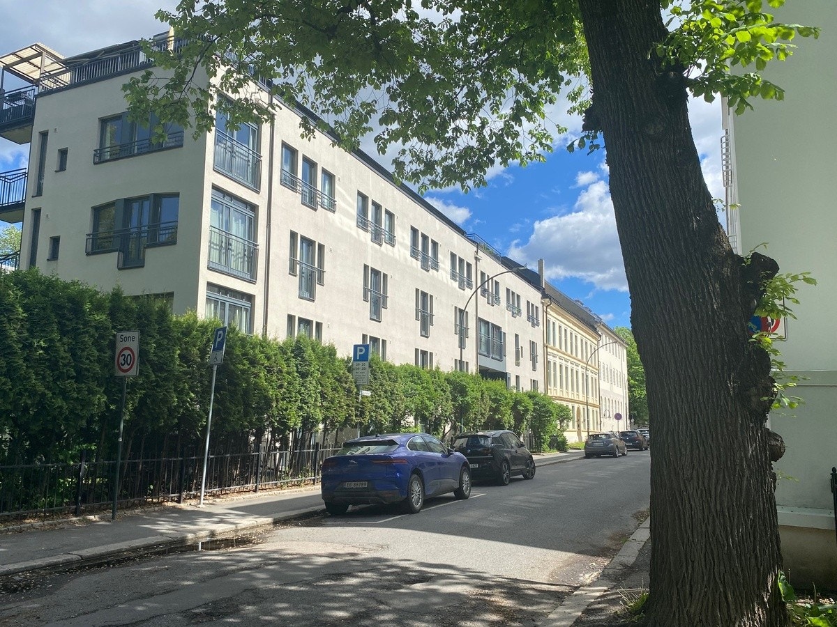Fuglehauggata Galleribilde