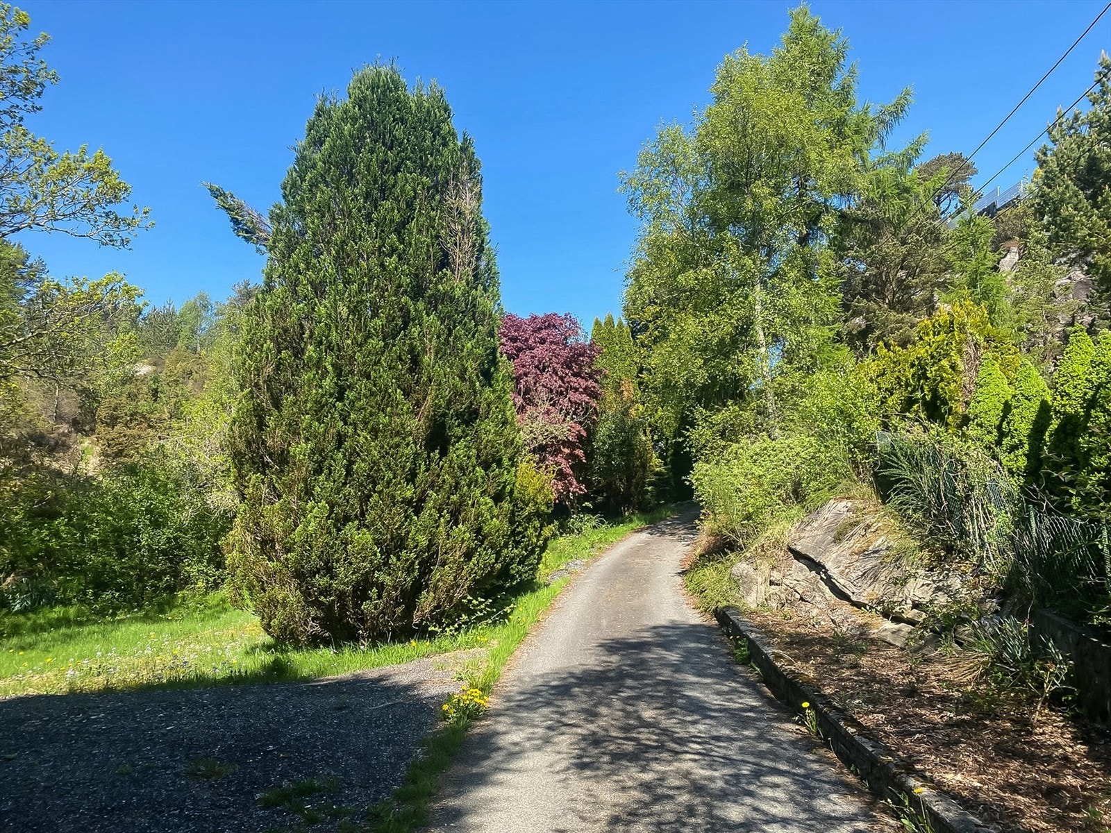 Grasgjelvegen Galleribilde