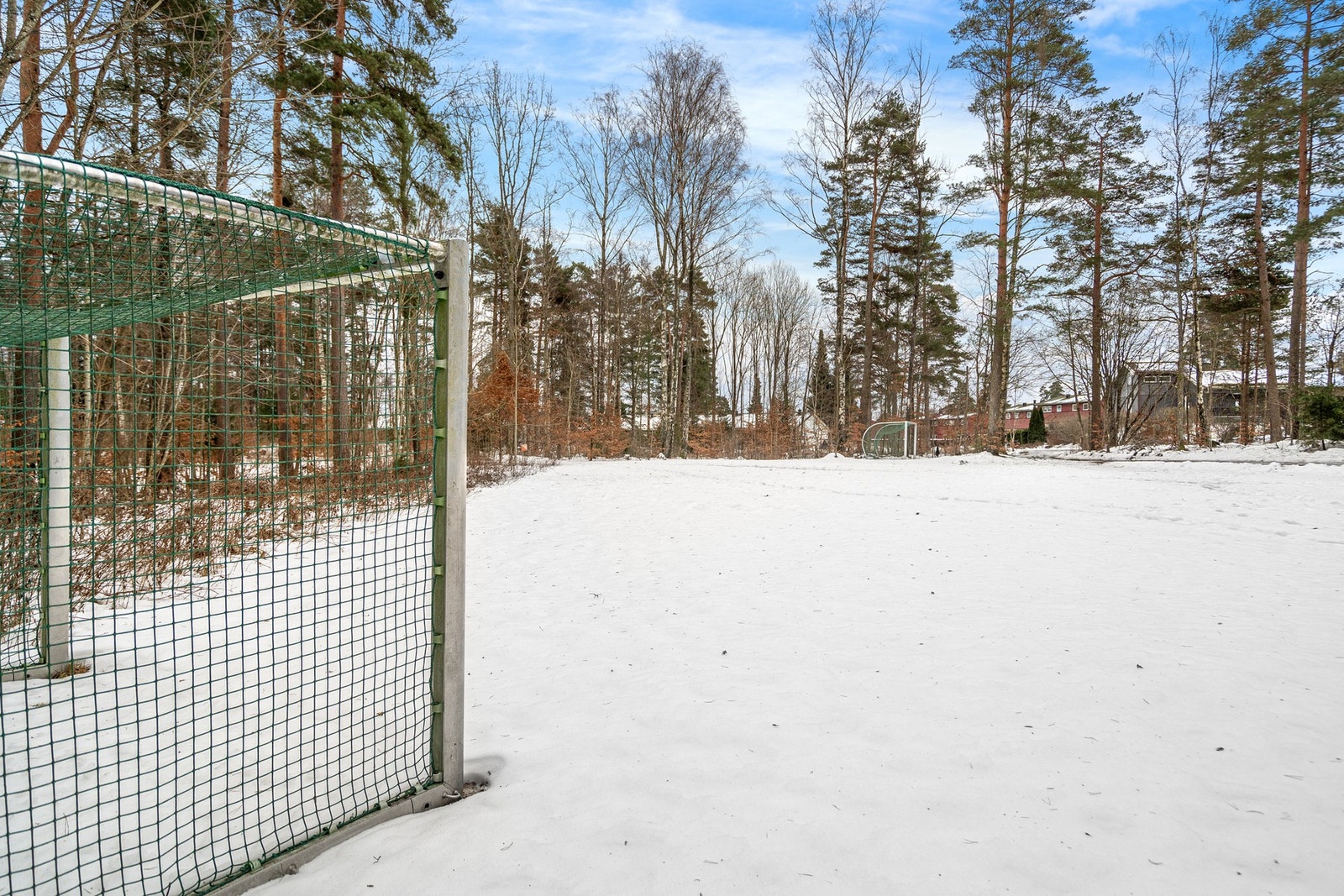 Nærområdet med balløkke Galleribilde
