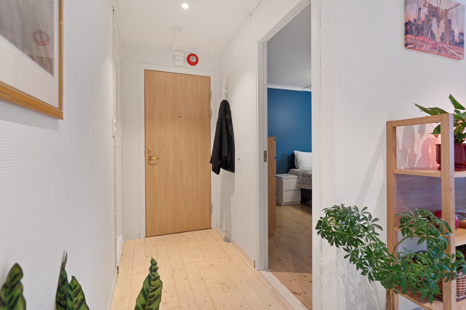 Gang/entré Galleribilde